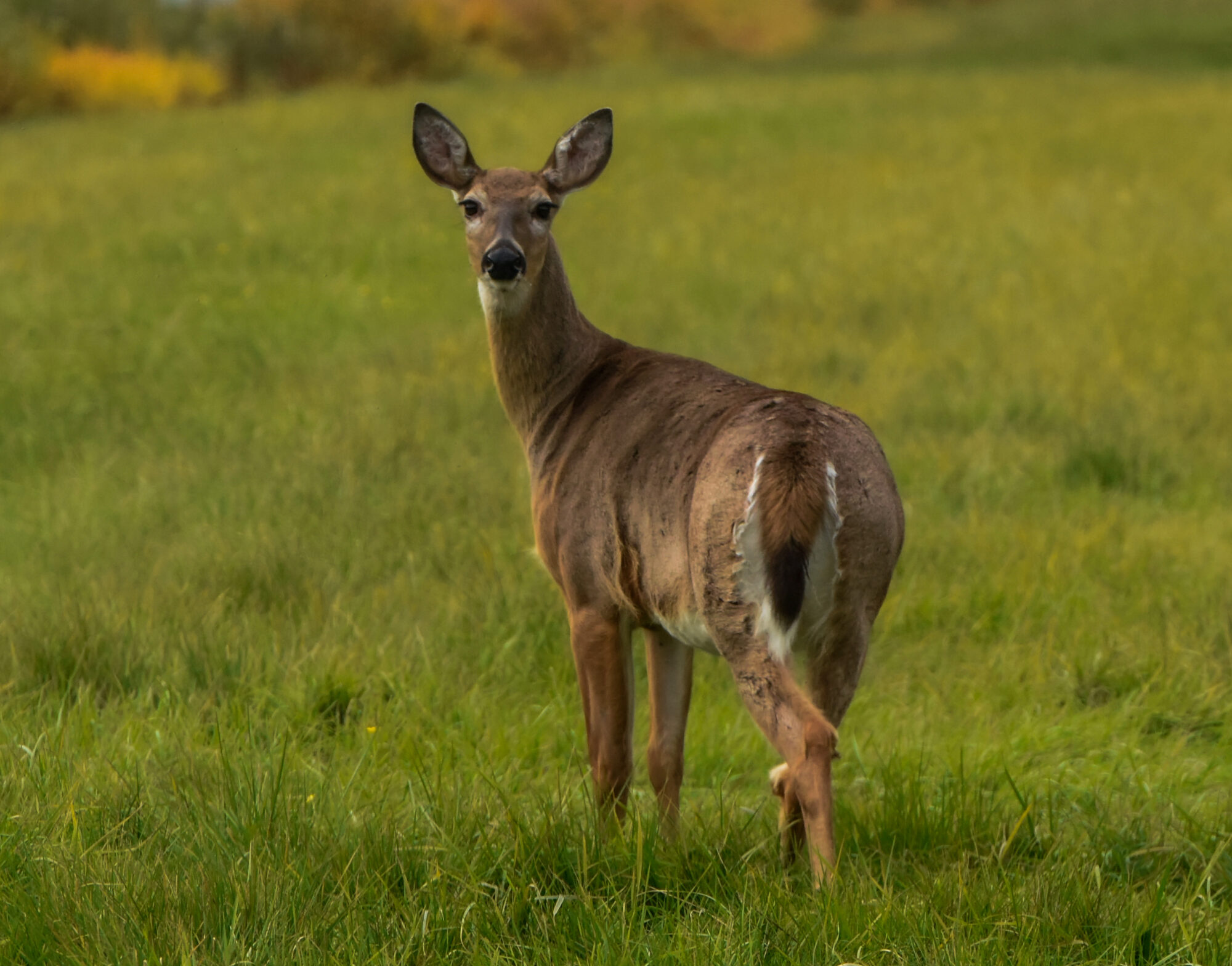 Valokuvaaja: Maija Savolainen