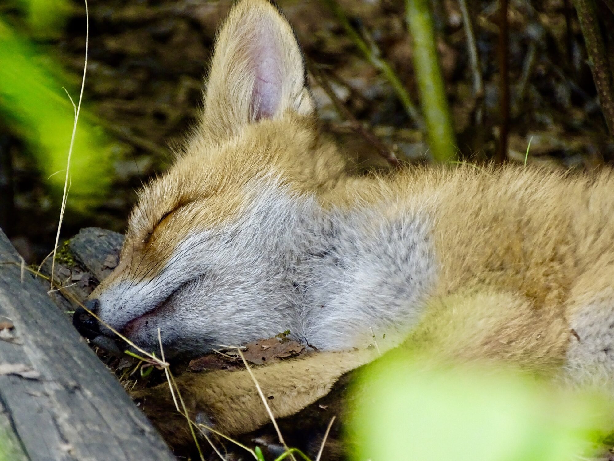 Valokuvaaja: Juhani Peltonen