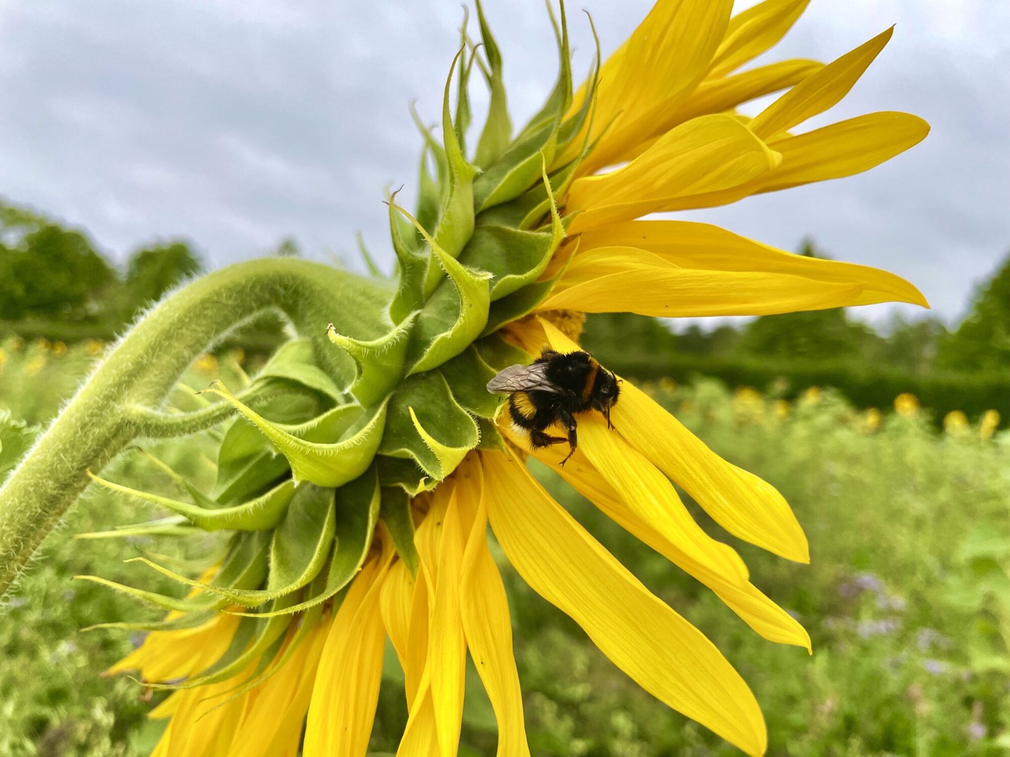Valokuvaaja: Juhani Peltonen
