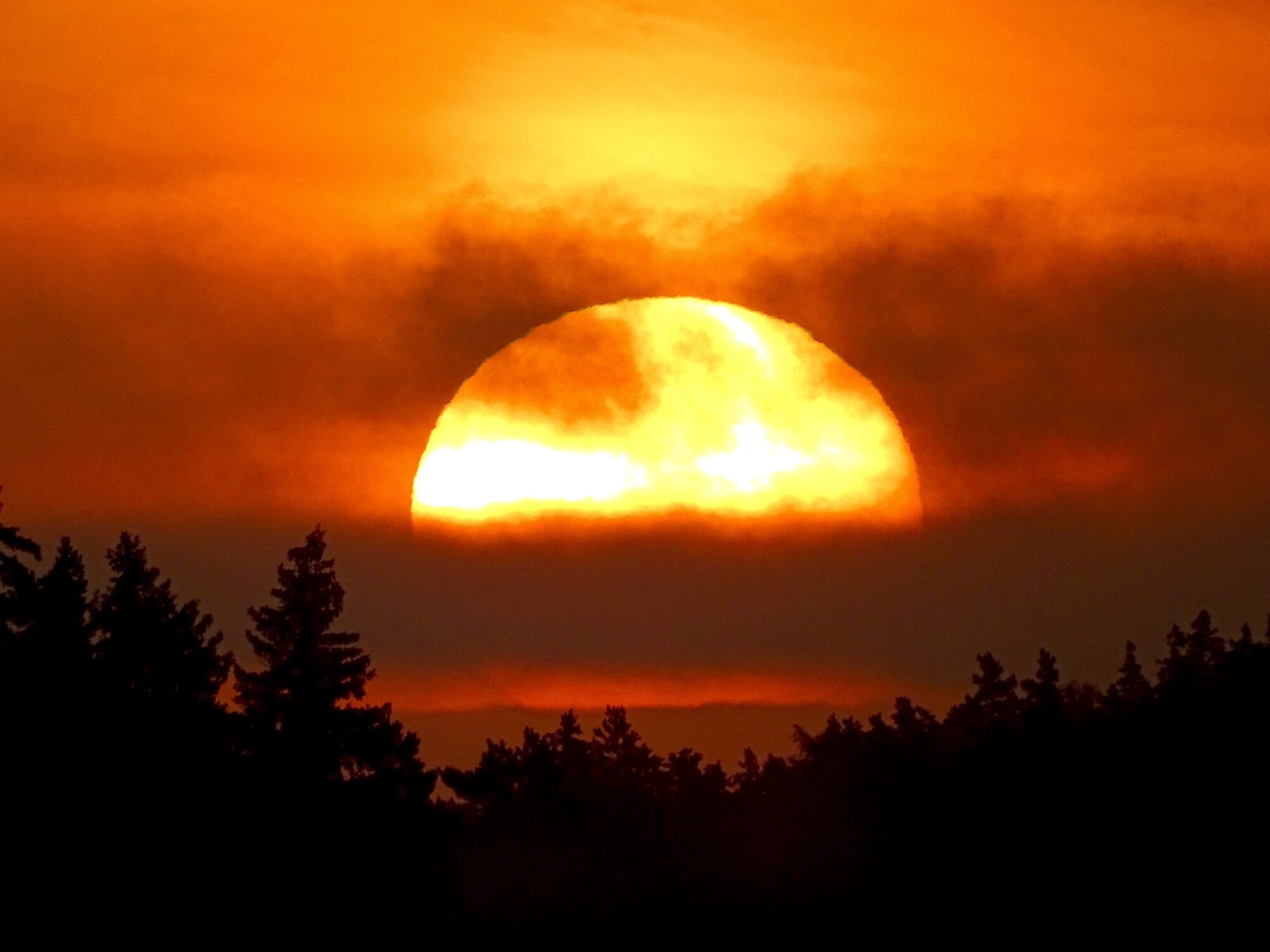 Valokuvaaja: Juhani Peltonen