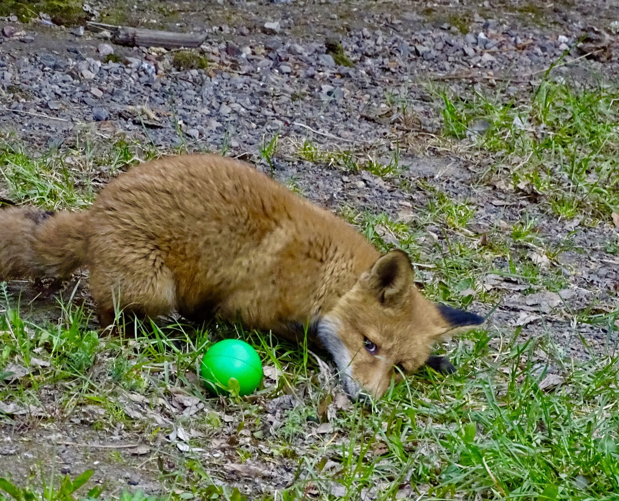 Valokuvaaja: Juhani Peltonen