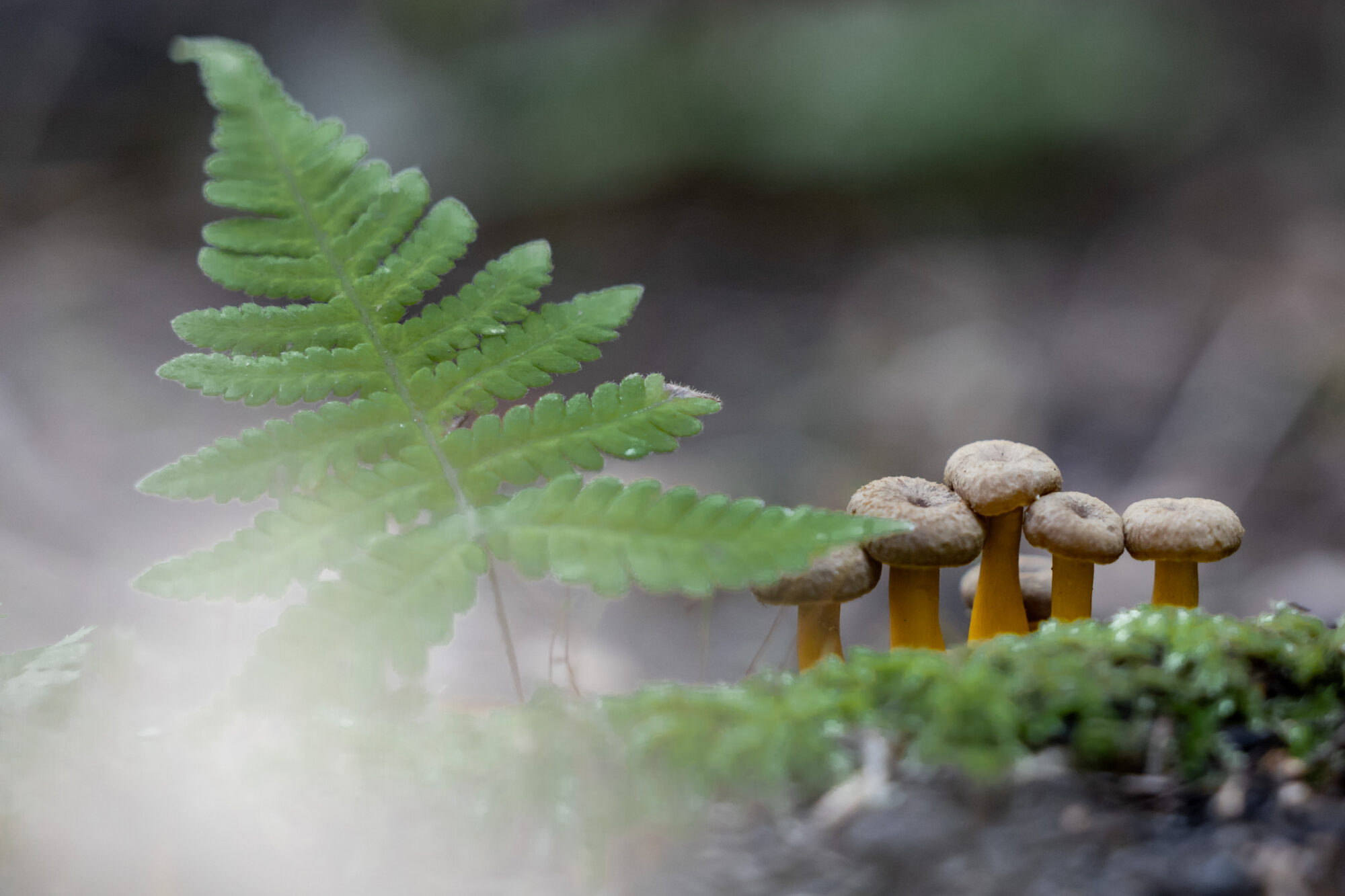 Valokuvaaja: Anne Patana