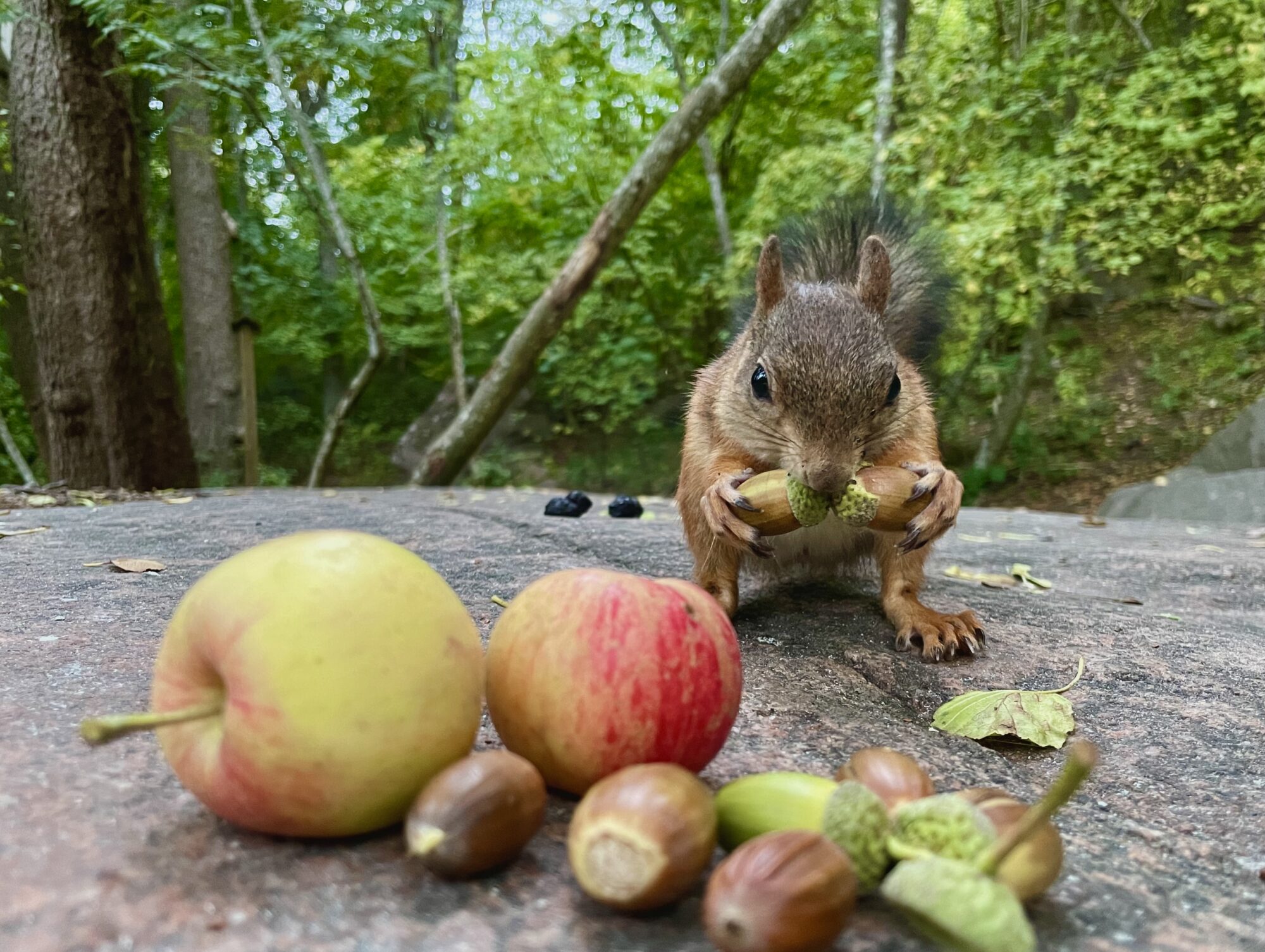 Valokuvaaja: Juhani Peltonen
