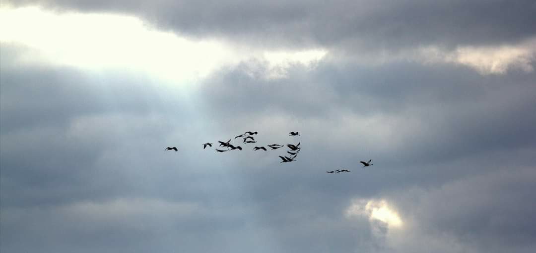 Valokuvaaja: Tapio Keinonen