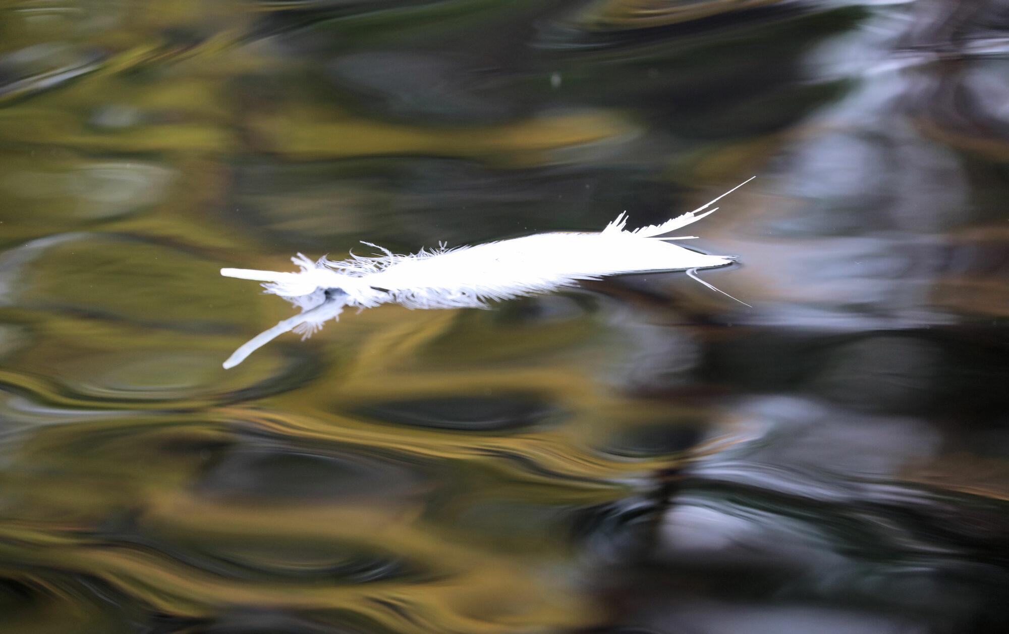 Valokuvaaja: Ahti Keränen