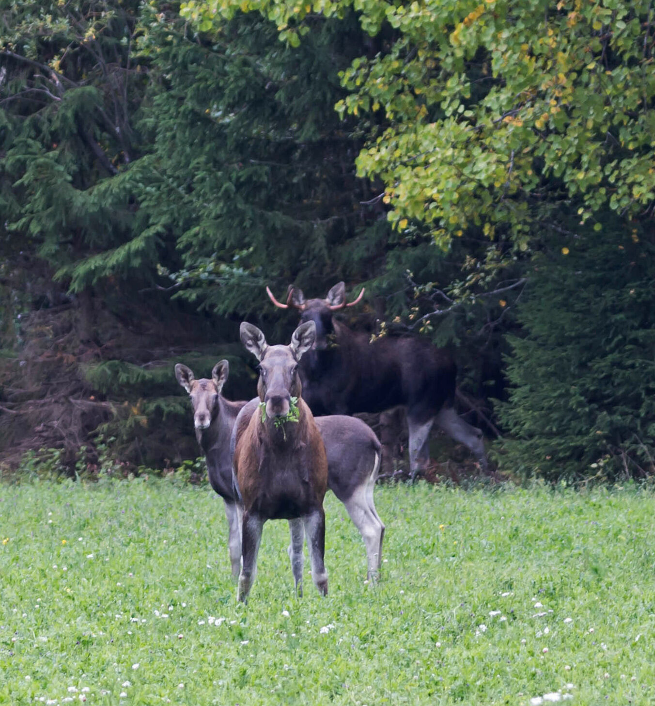 Valokuvaaja: Irma Kortekallio