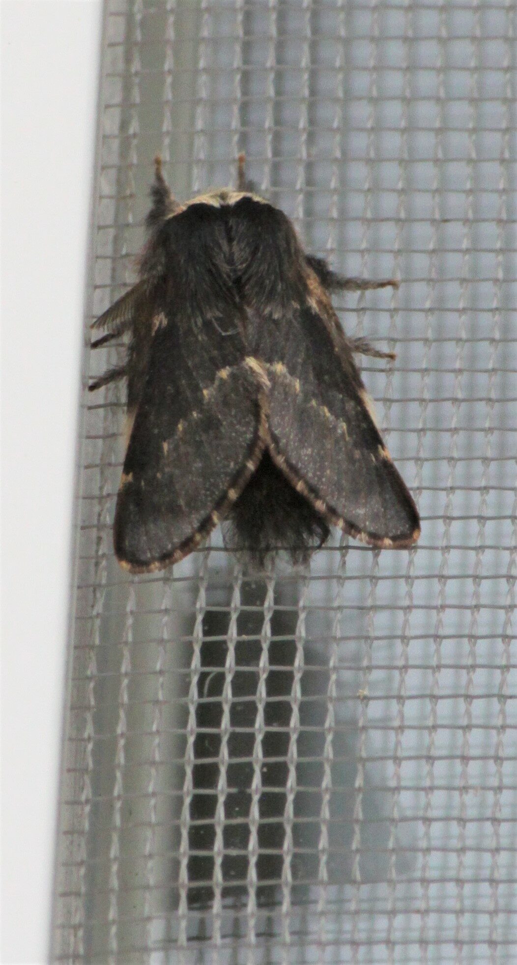 Valokuvaaja: Kaarina Heiskanen