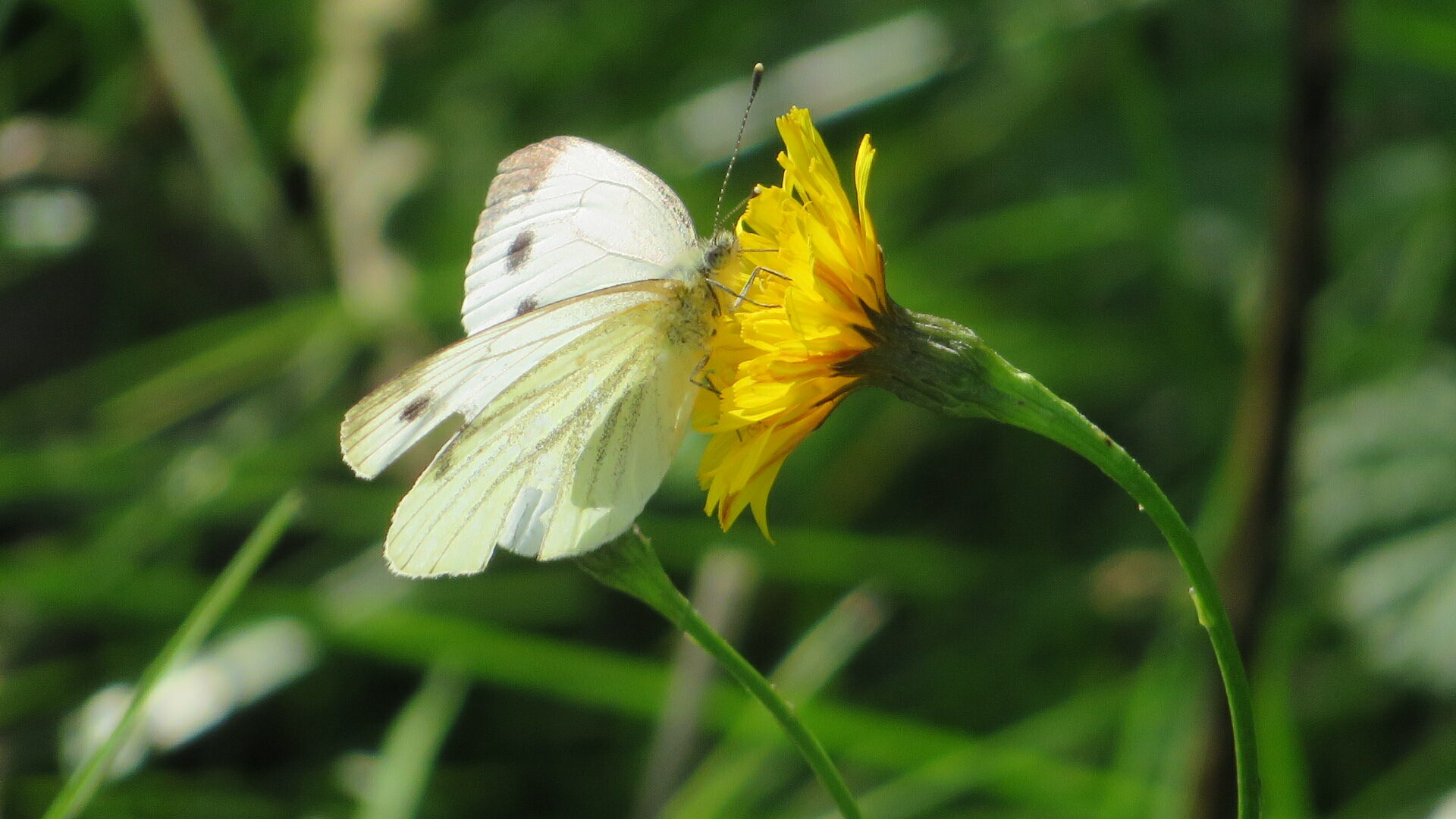 Valokuvaaja: Risto Kangassalo