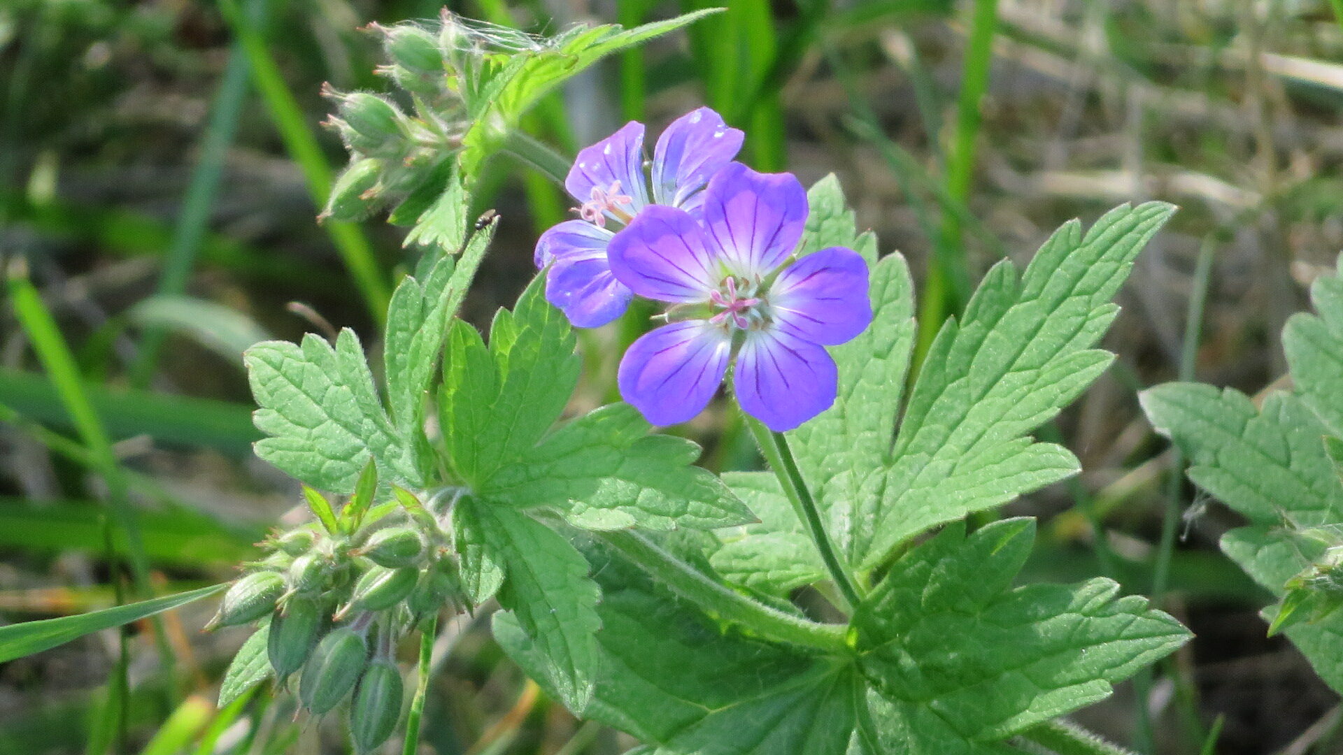 Valokuvaaja: Risto Kangassalo