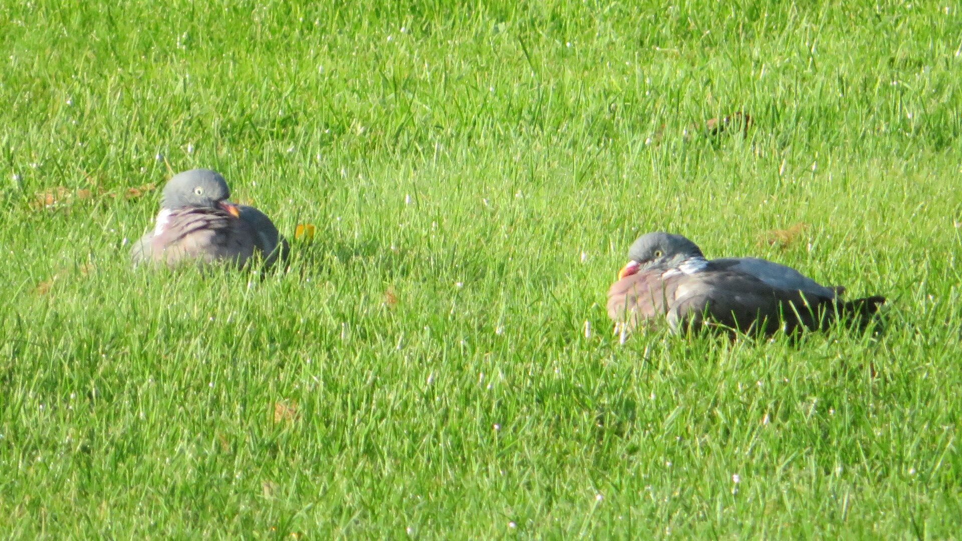 Valokuvaaja: Risto Kangassalo