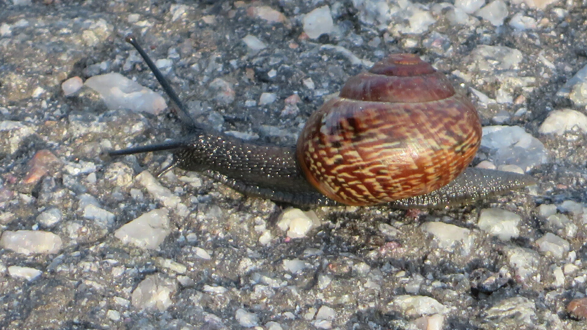 Valokuvaaja: Risto Kangassalo