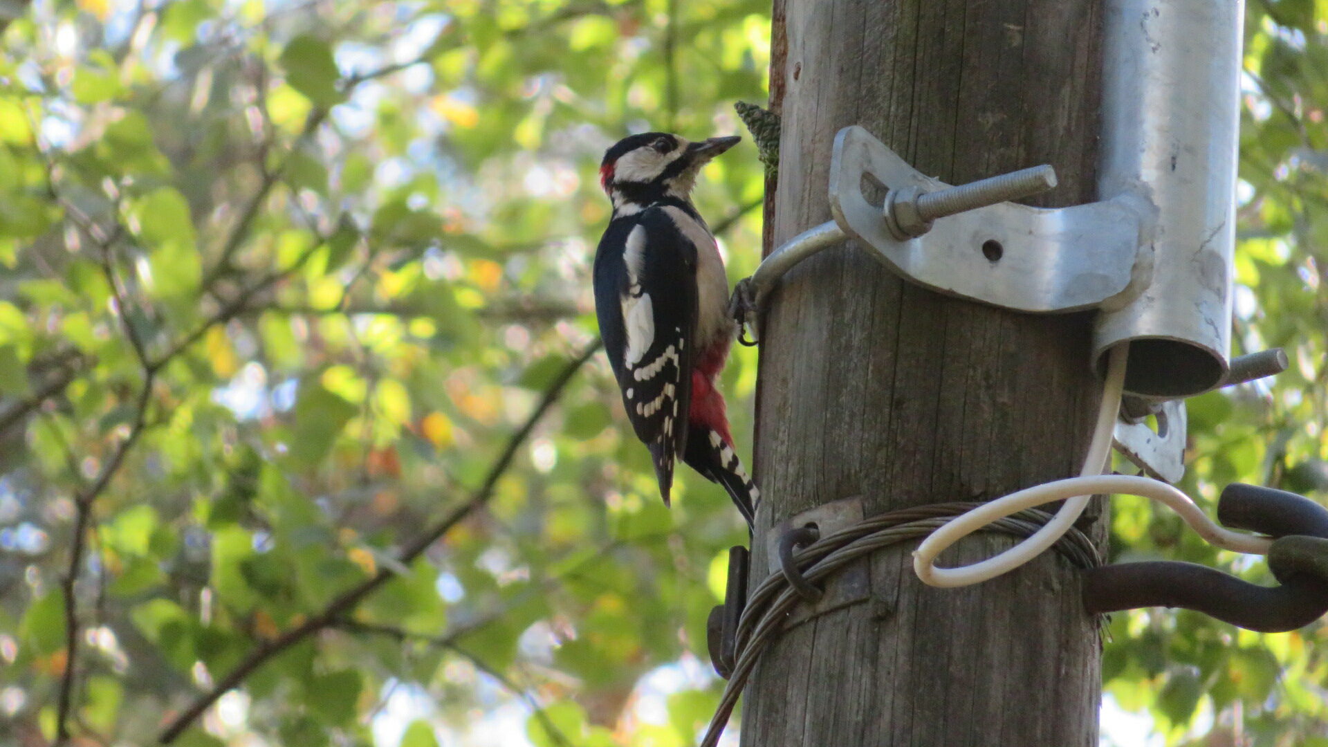 Valokuvaaja: Risto Kangassalo
