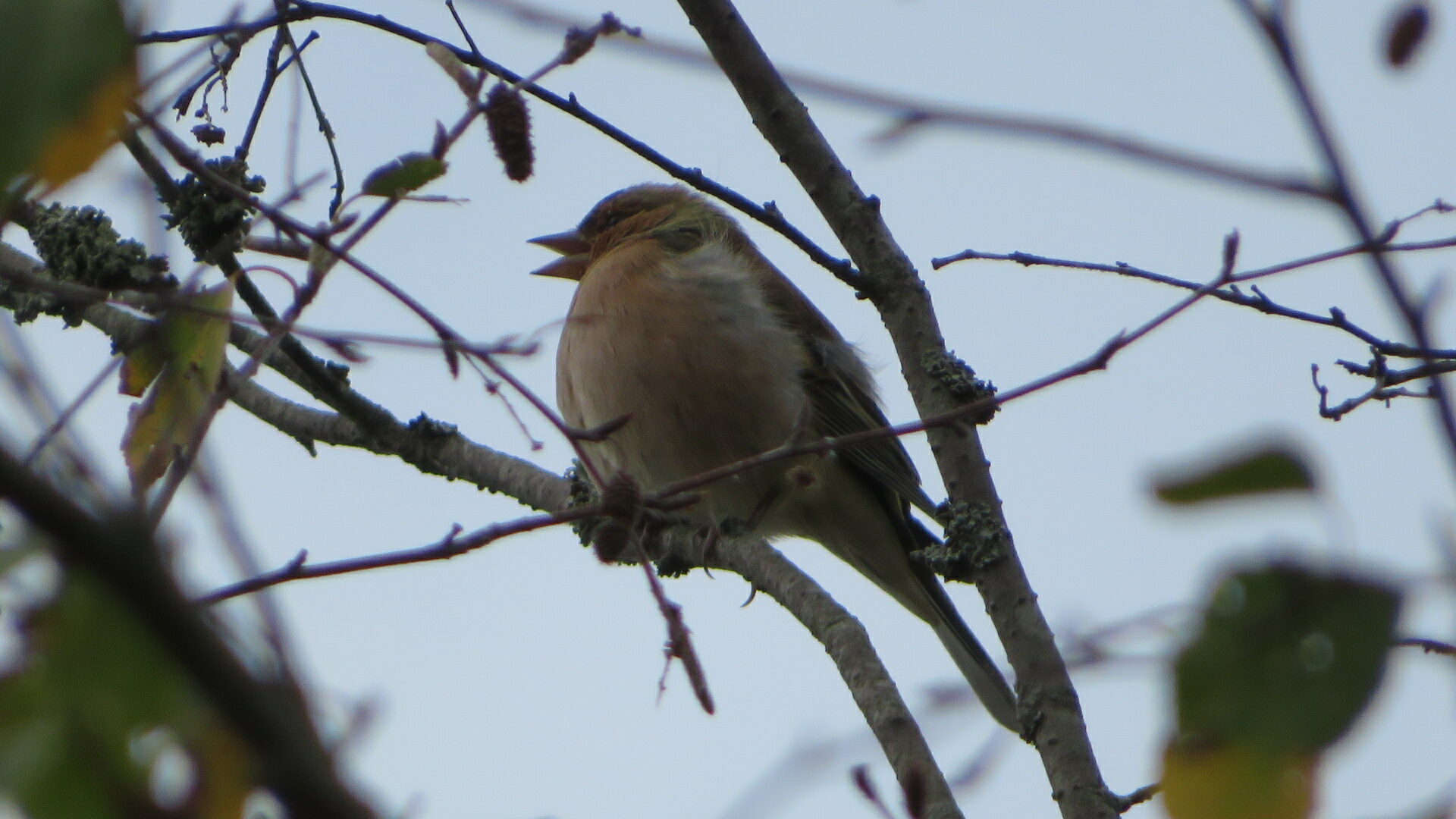 Valokuvaaja: Risto Kangassalo