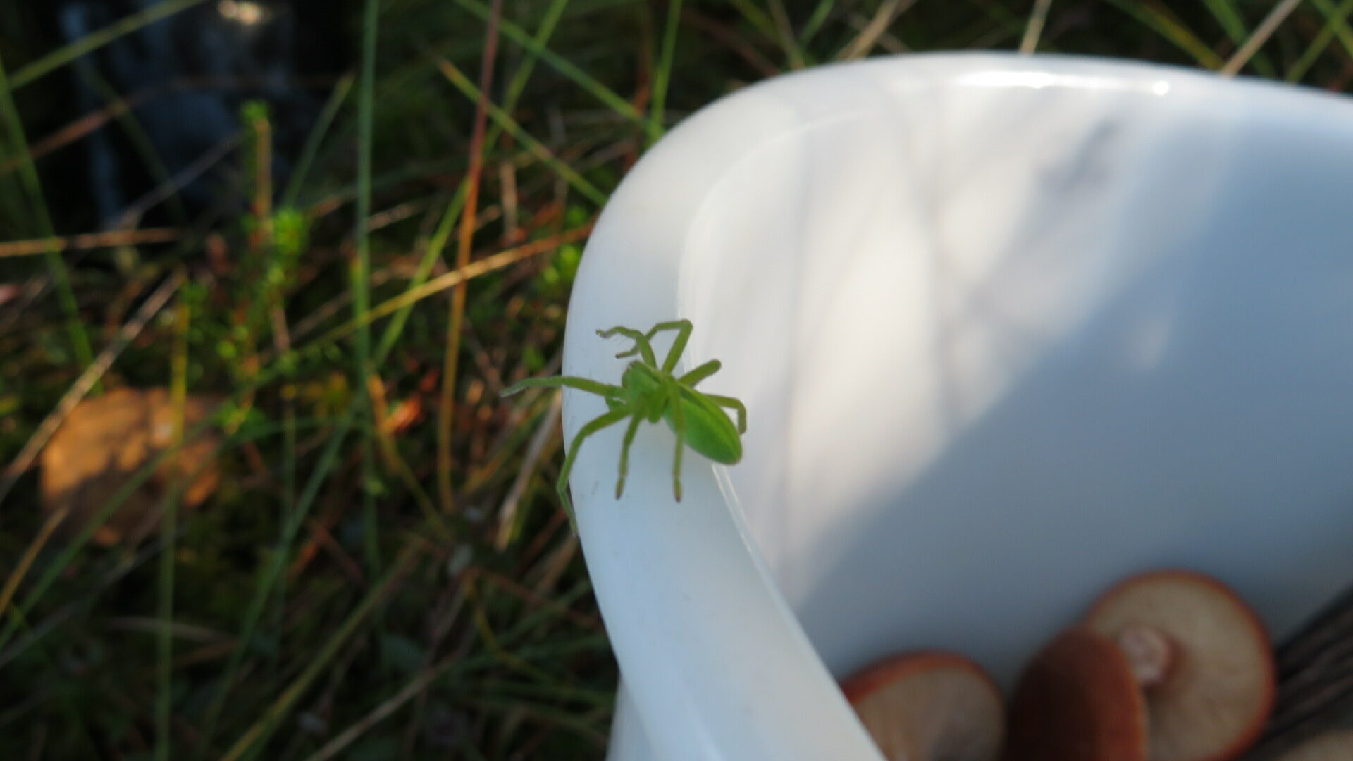 Valokuvaaja: Risto Kangassalo