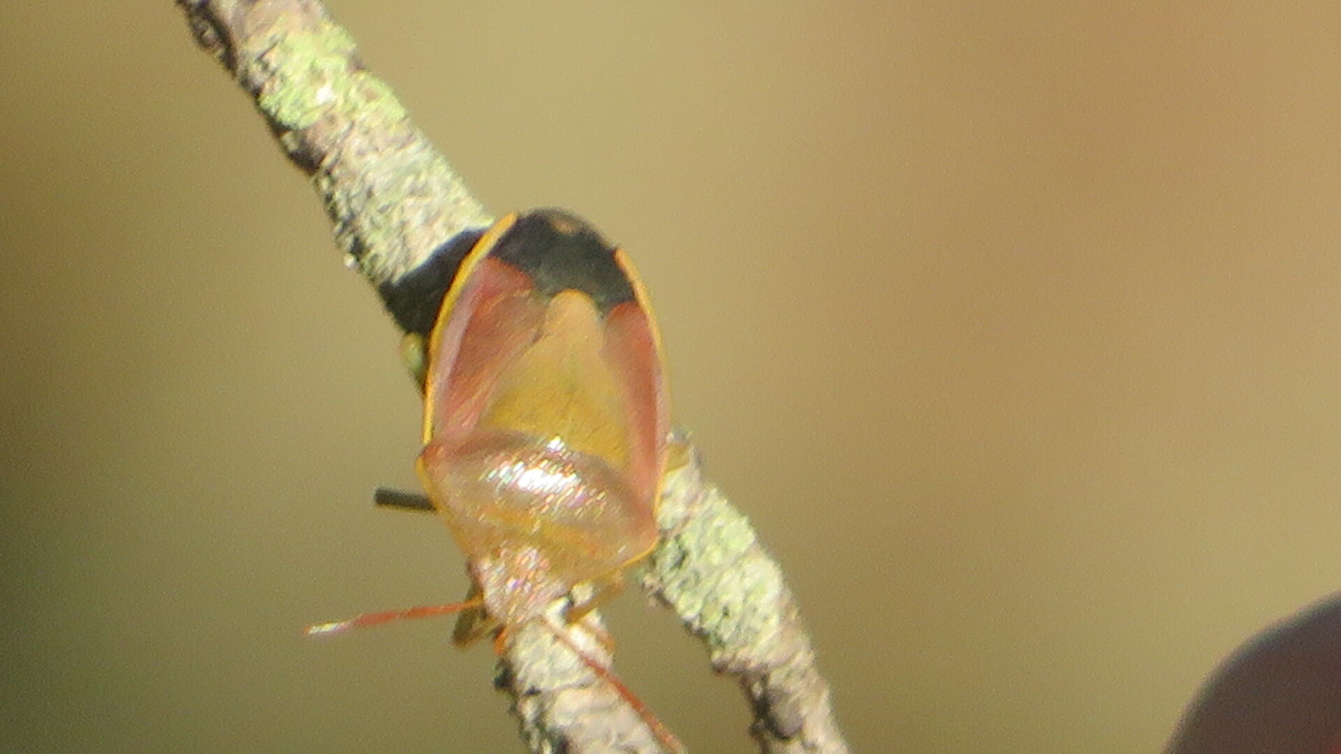 Valokuvaaja: Risto Kangassalo