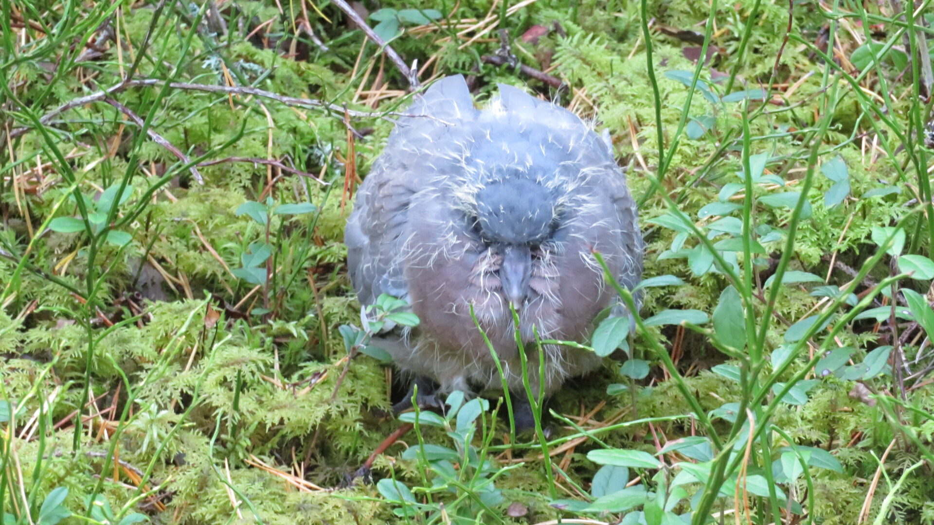 Valokuvaaja: Risto Kangassalo