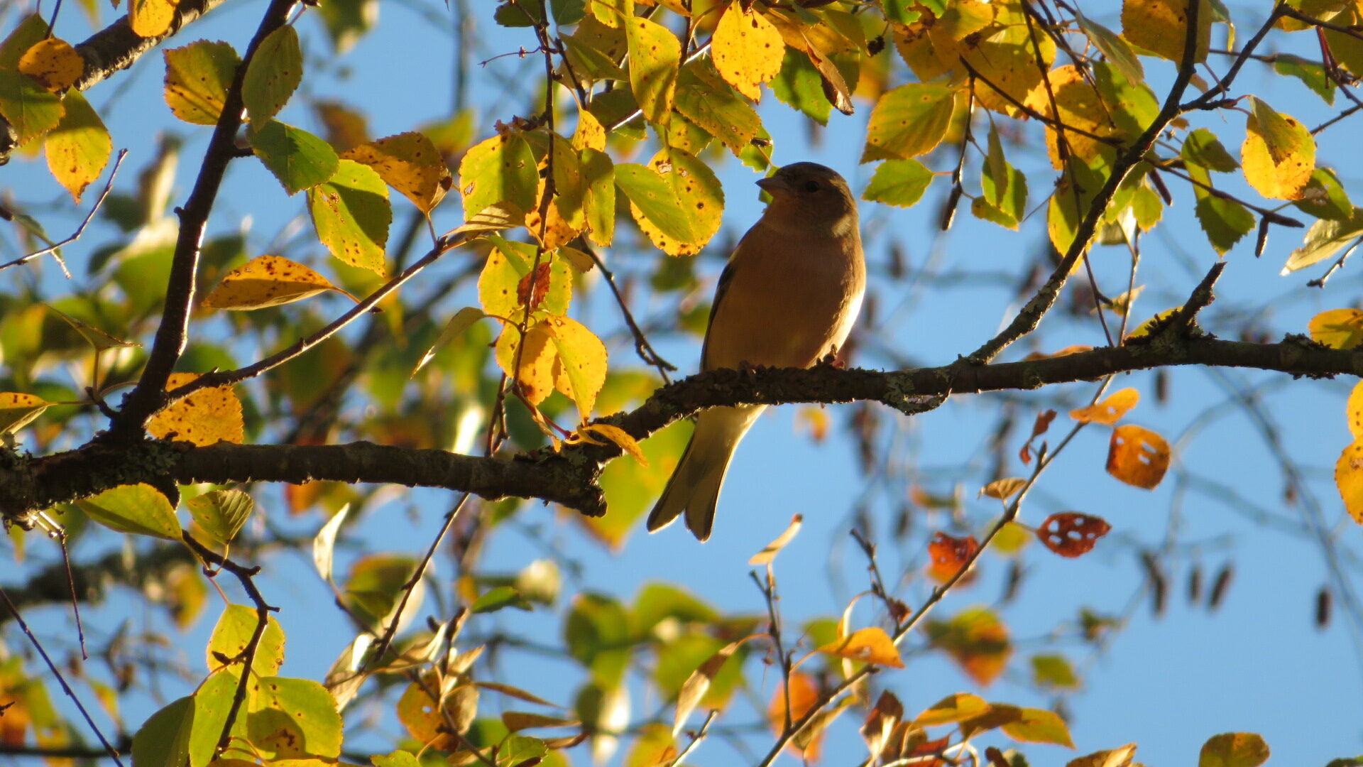 Valokuvaaja: Risto Kangassalo