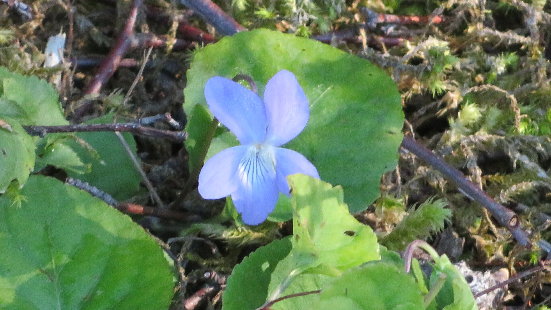 Valokuvaaja: Risto Kangassalo