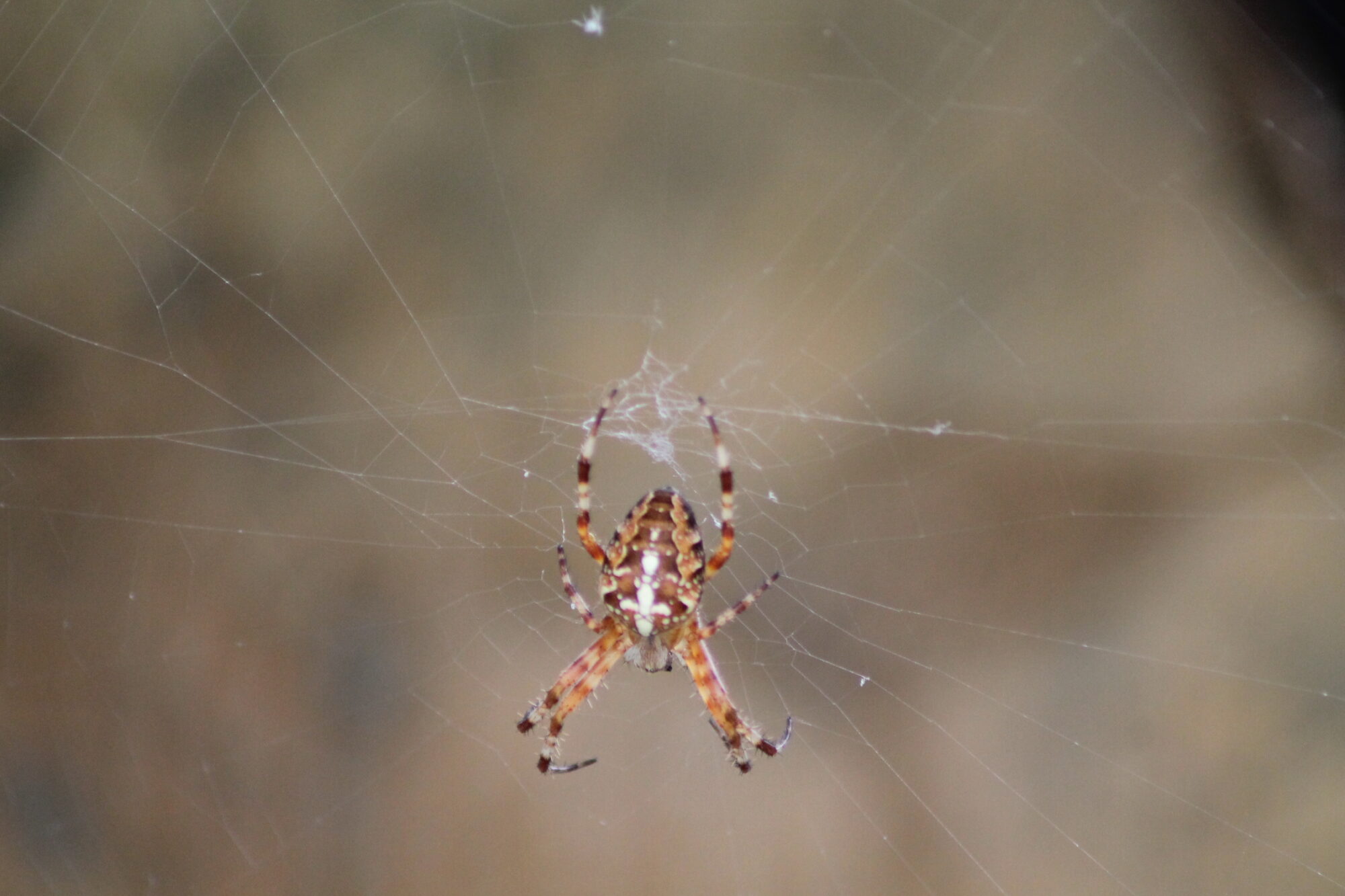 Valokuvaaja: Eira Syrjälä