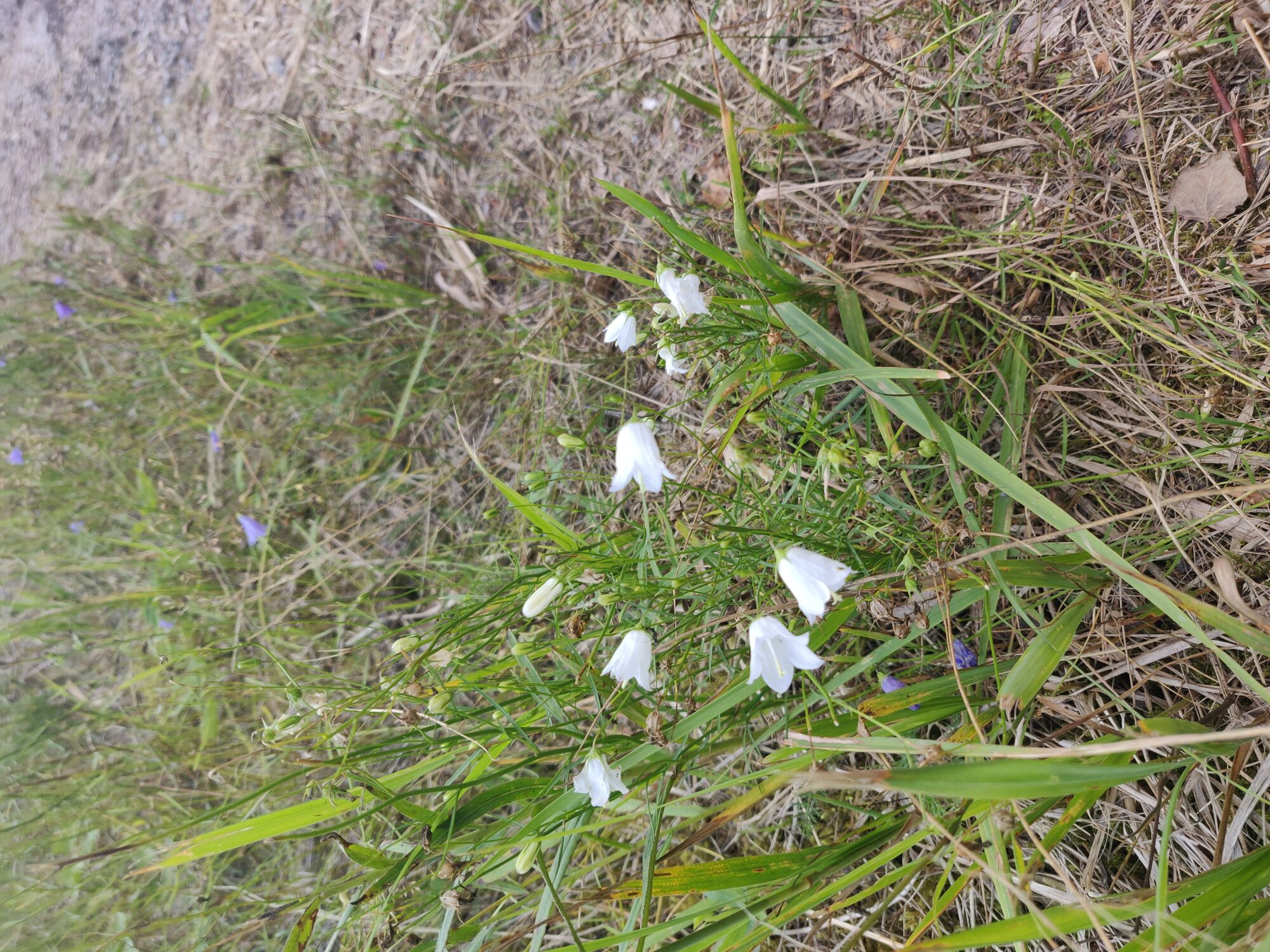 Valokuvaaja: Anne Lähderinne