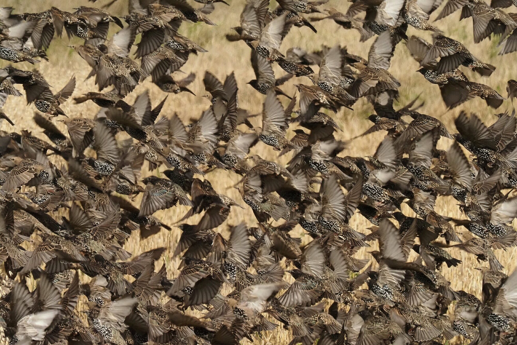 Valokuvaaja: Mikkola Irma