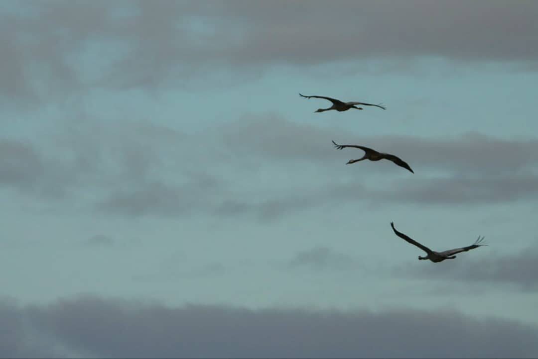 Valokuvaaja: Satu-Sinikka Vuolteenaho