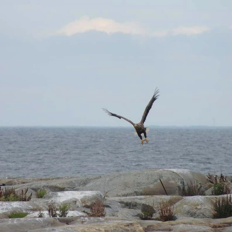 Valokuvaaja: Satu-Sinikka Vuolteenaho