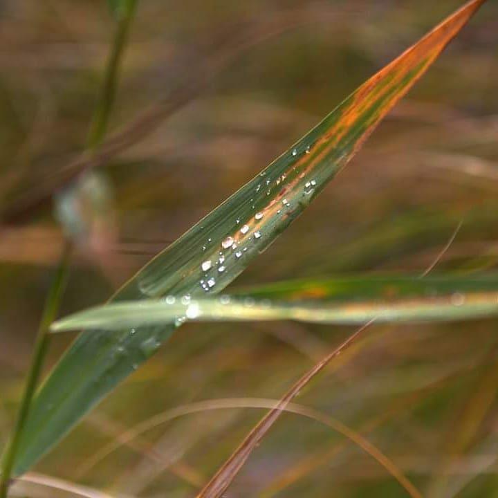 Valokuvaaja: Tapio Keinonen