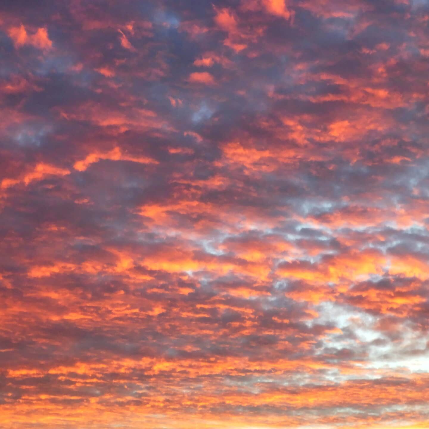 Valokuvaaja: Tapio Keinonen