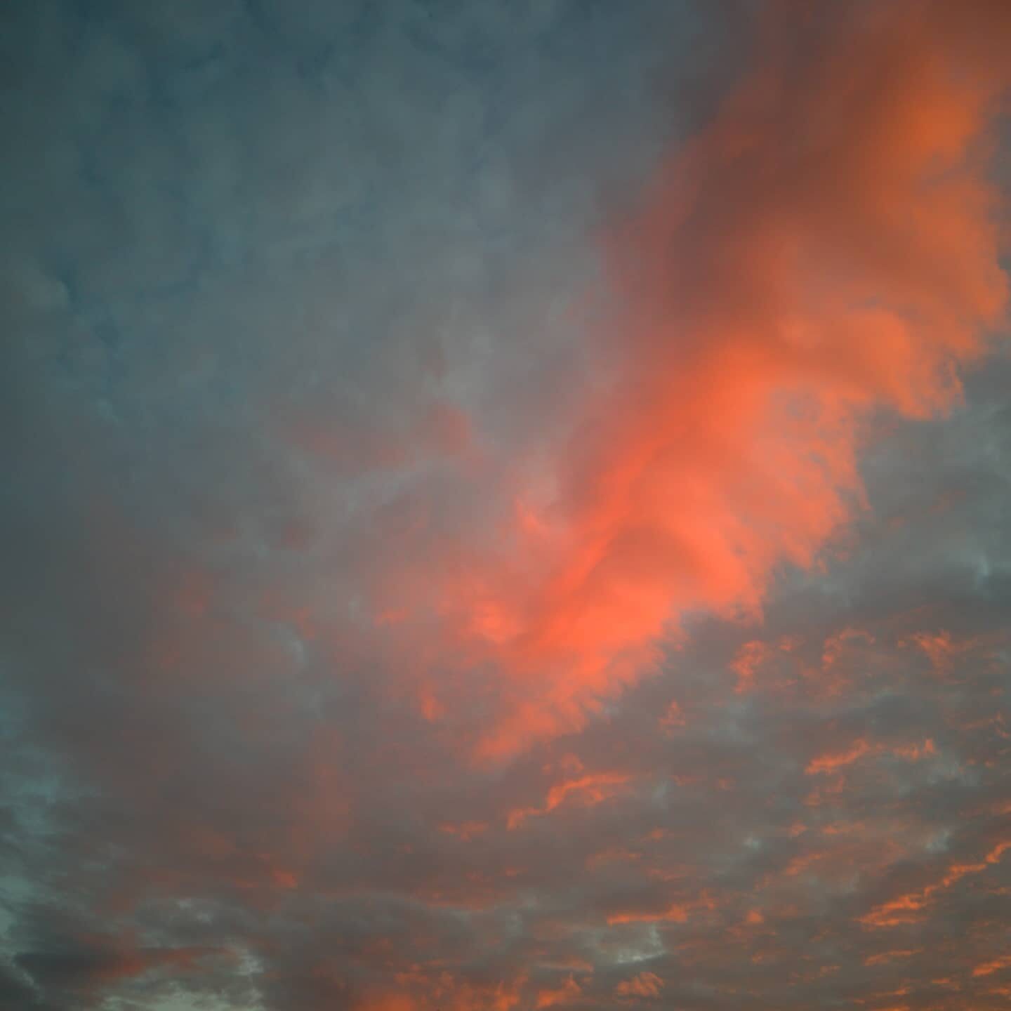 Valokuvaaja: Tapio Keinonen