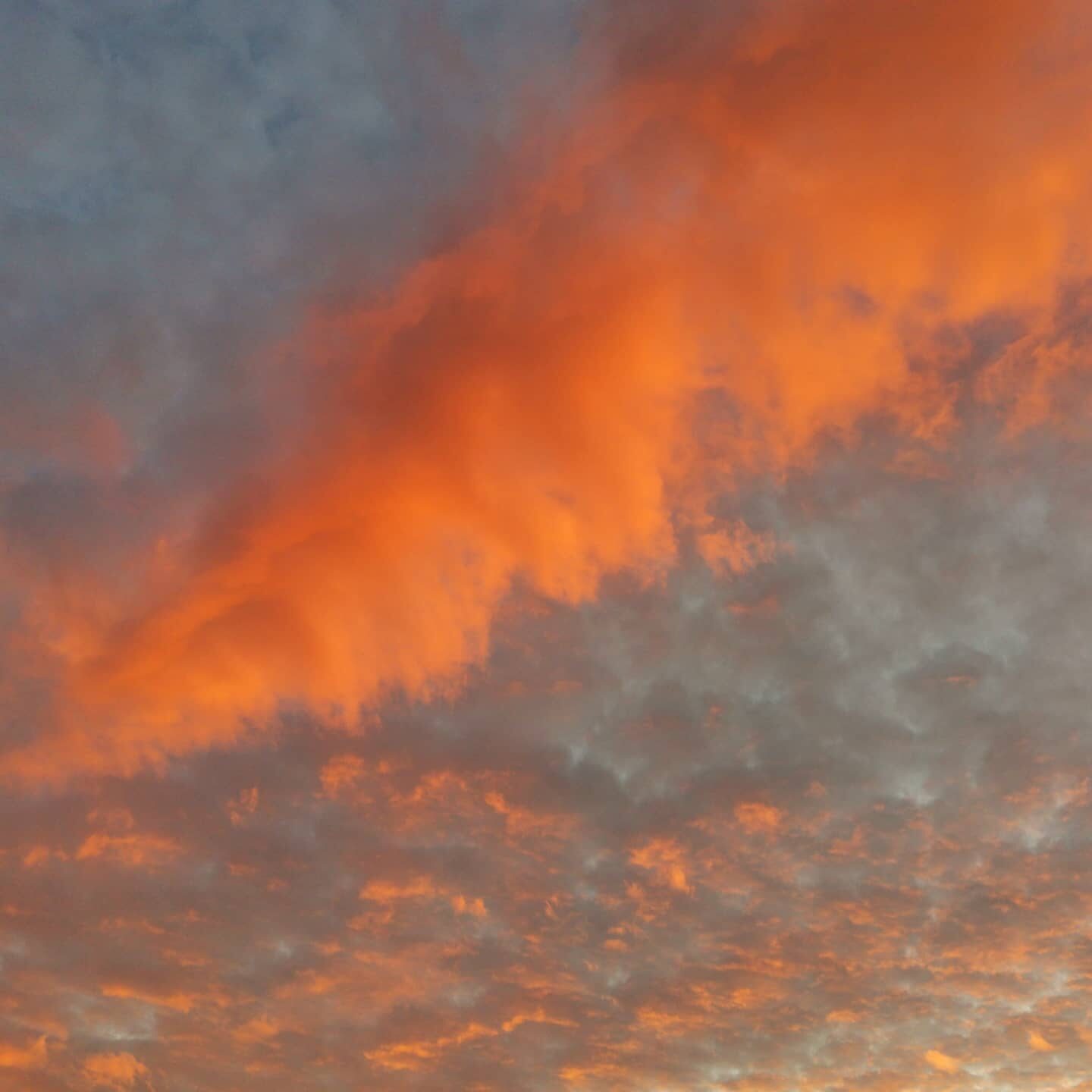 Valokuvaaja: Tapio Keinonen