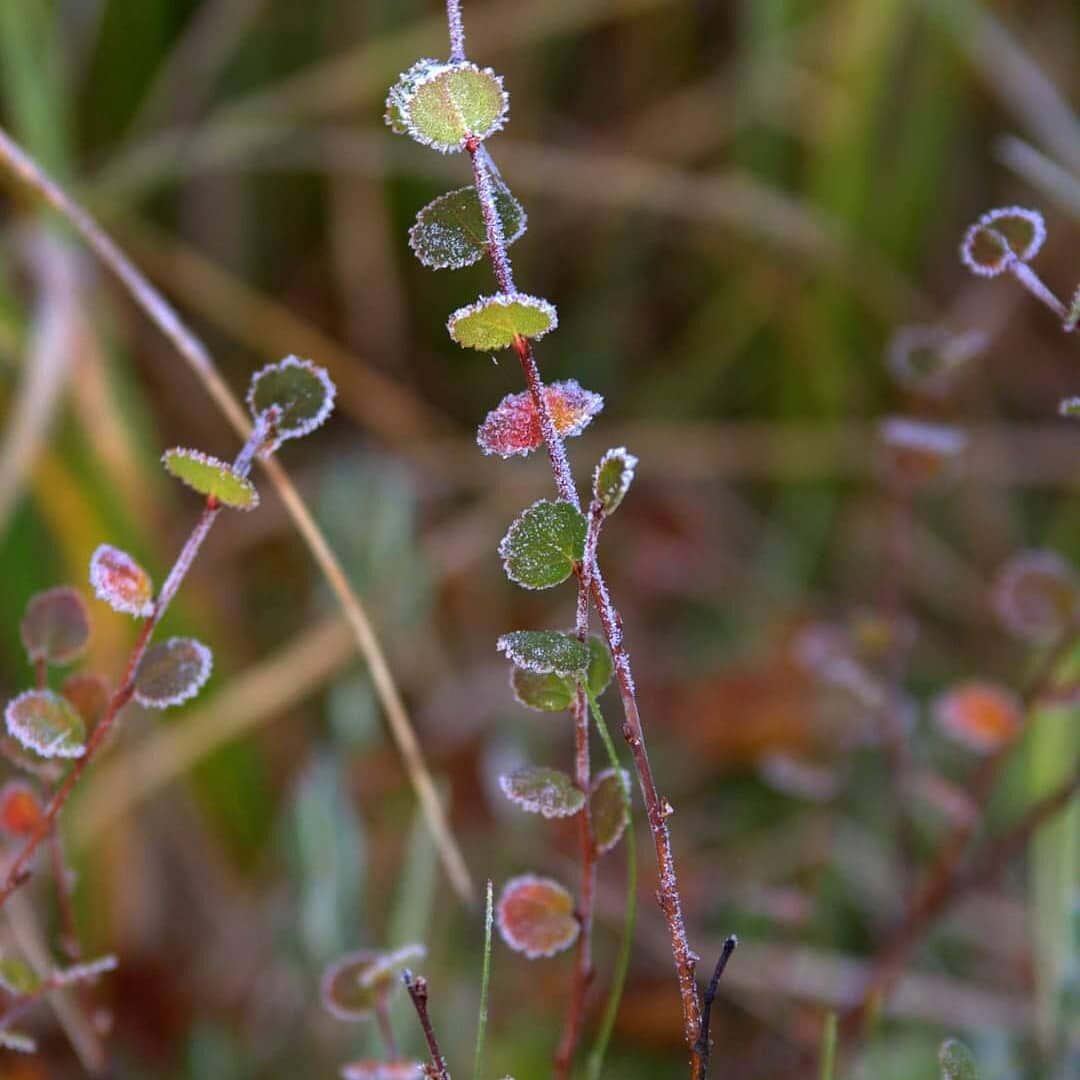 Valokuvaaja: Tapio Keinonen