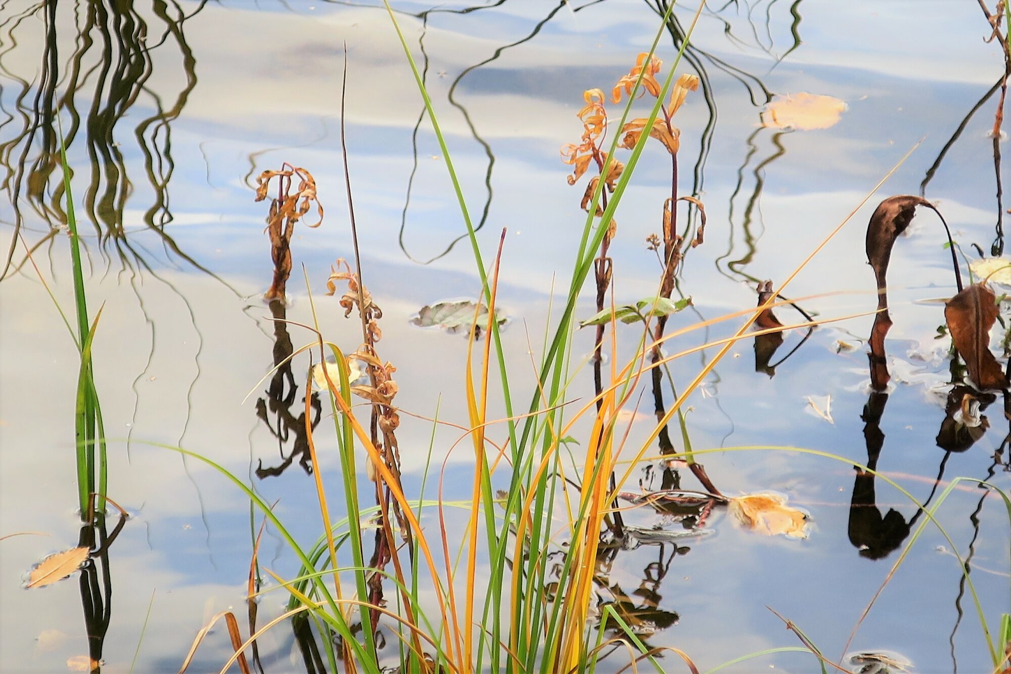 Valokuvaaja: Arto Alasuutari