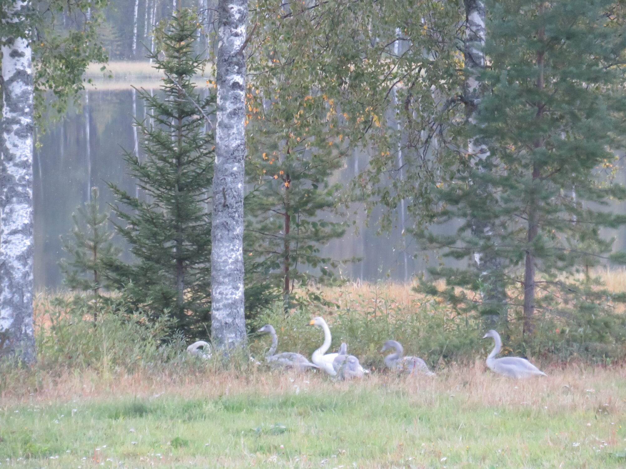 Valokuvaaja: Sirkka Ruotoistenmäki