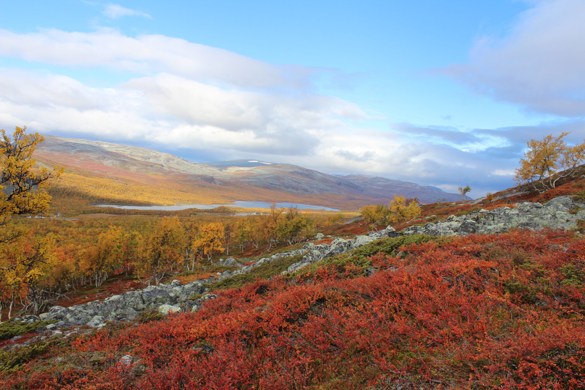 Valokuvaaja: Lisa Aarnio Valokuvaaja: Lisa Aarnio