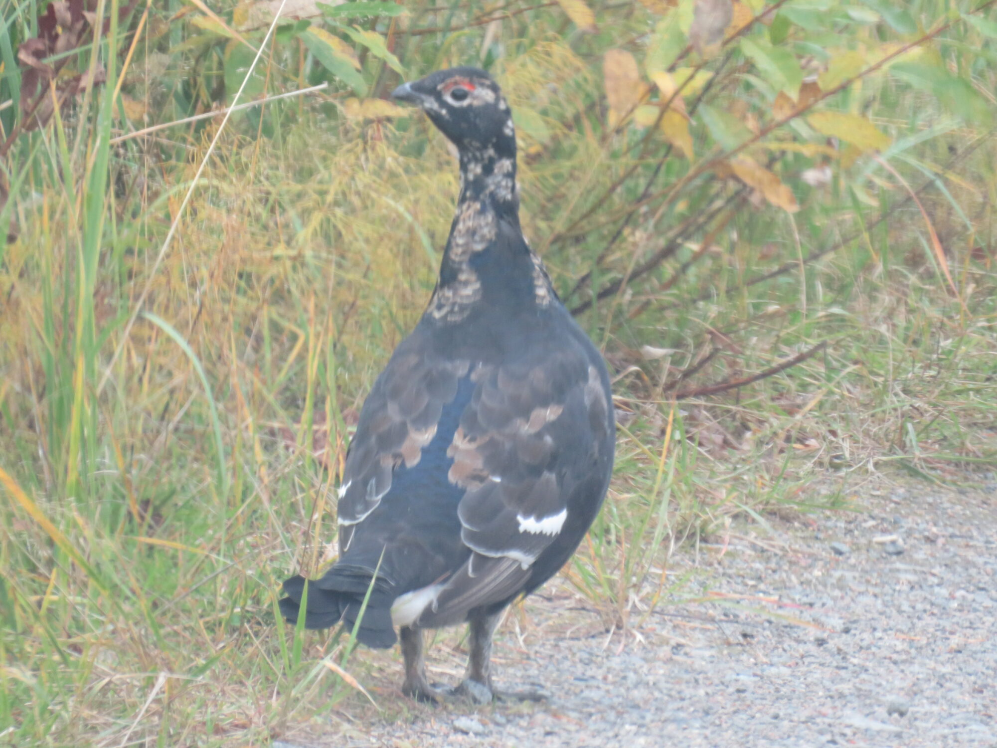Valokuvaaja: Sirkka Ruotoistenmäki