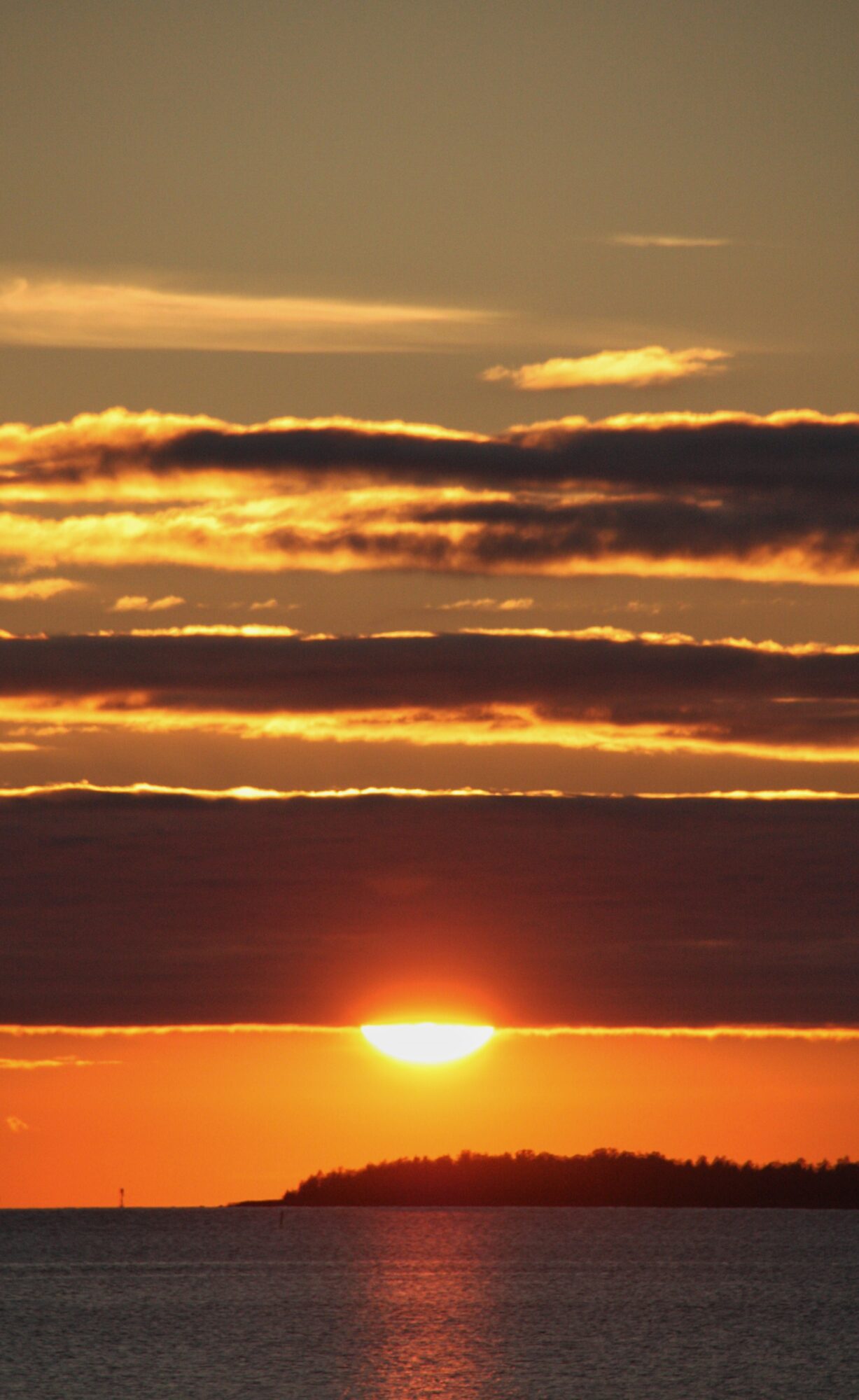 Valokuvaaja: Bea Hadjikov