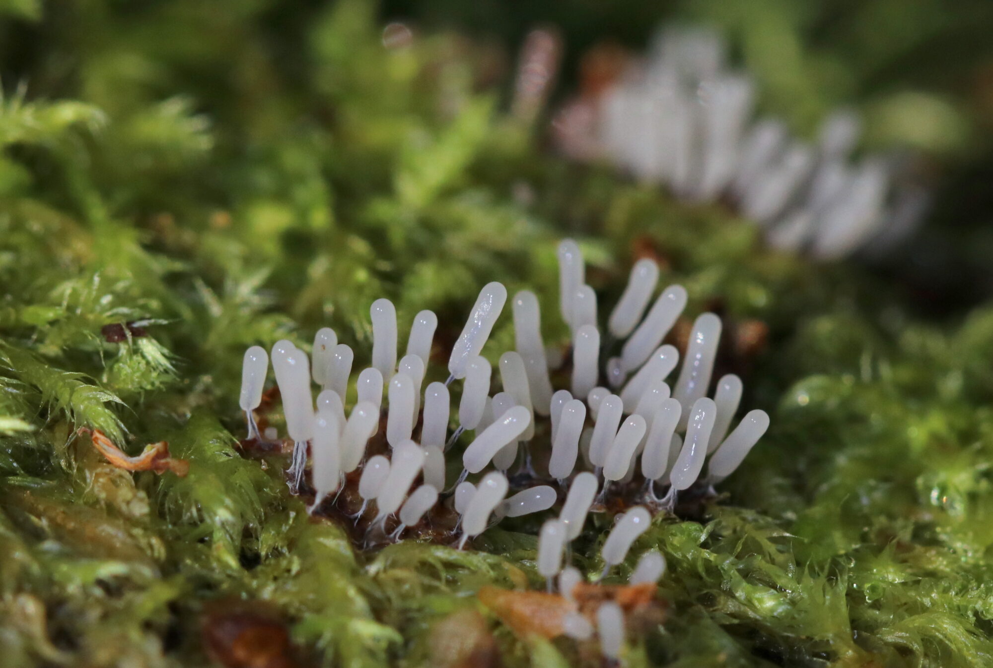 Valokuvaaja: Eija Soimola