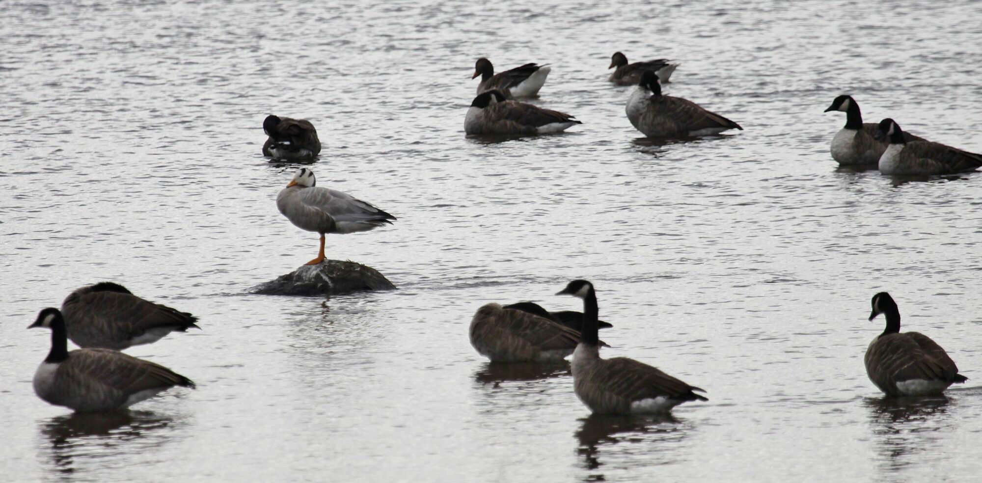Valokuvaaja: Pirkko Siukonen