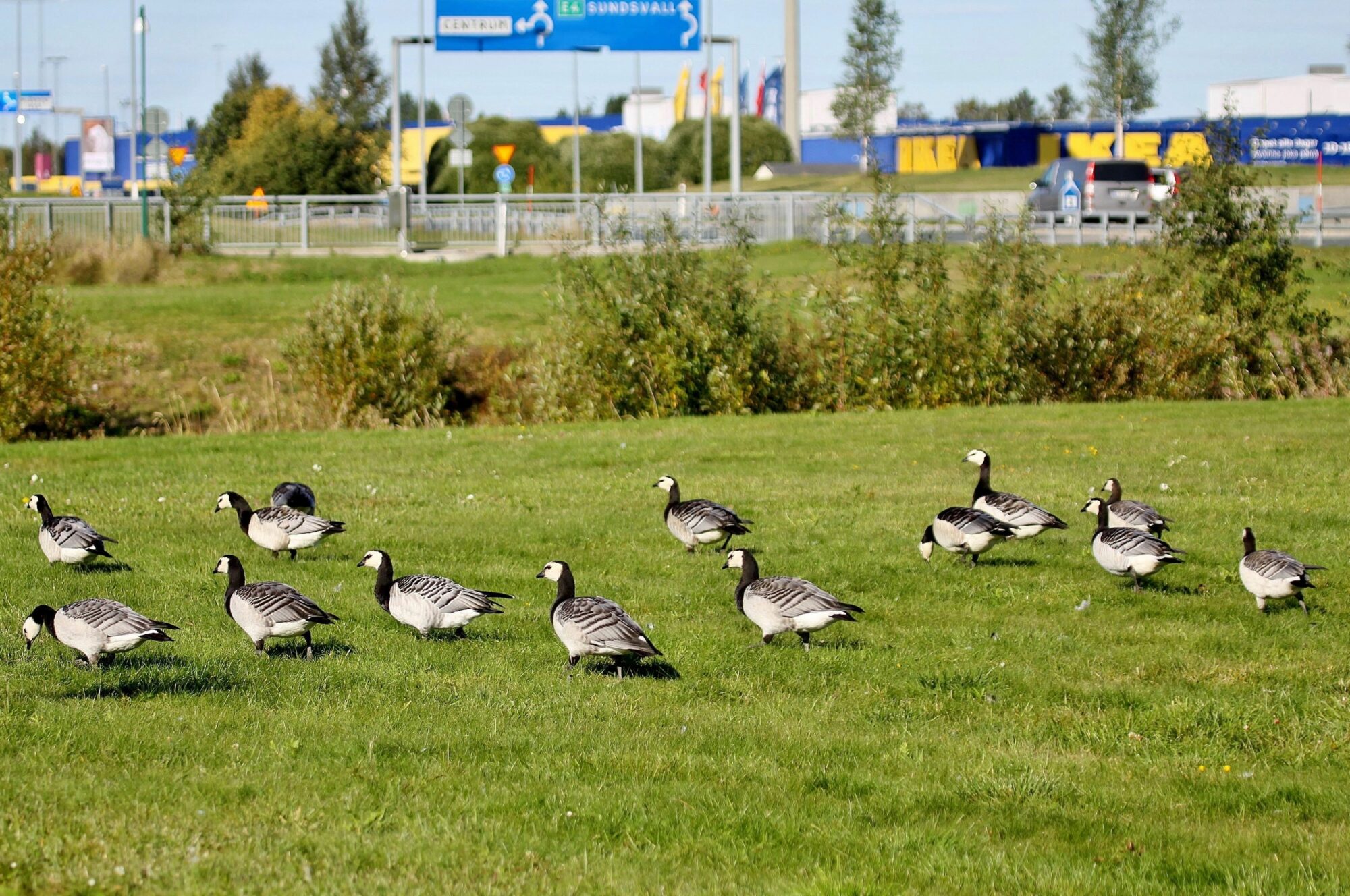 Valokuvaaja: Pirkko Siukonen