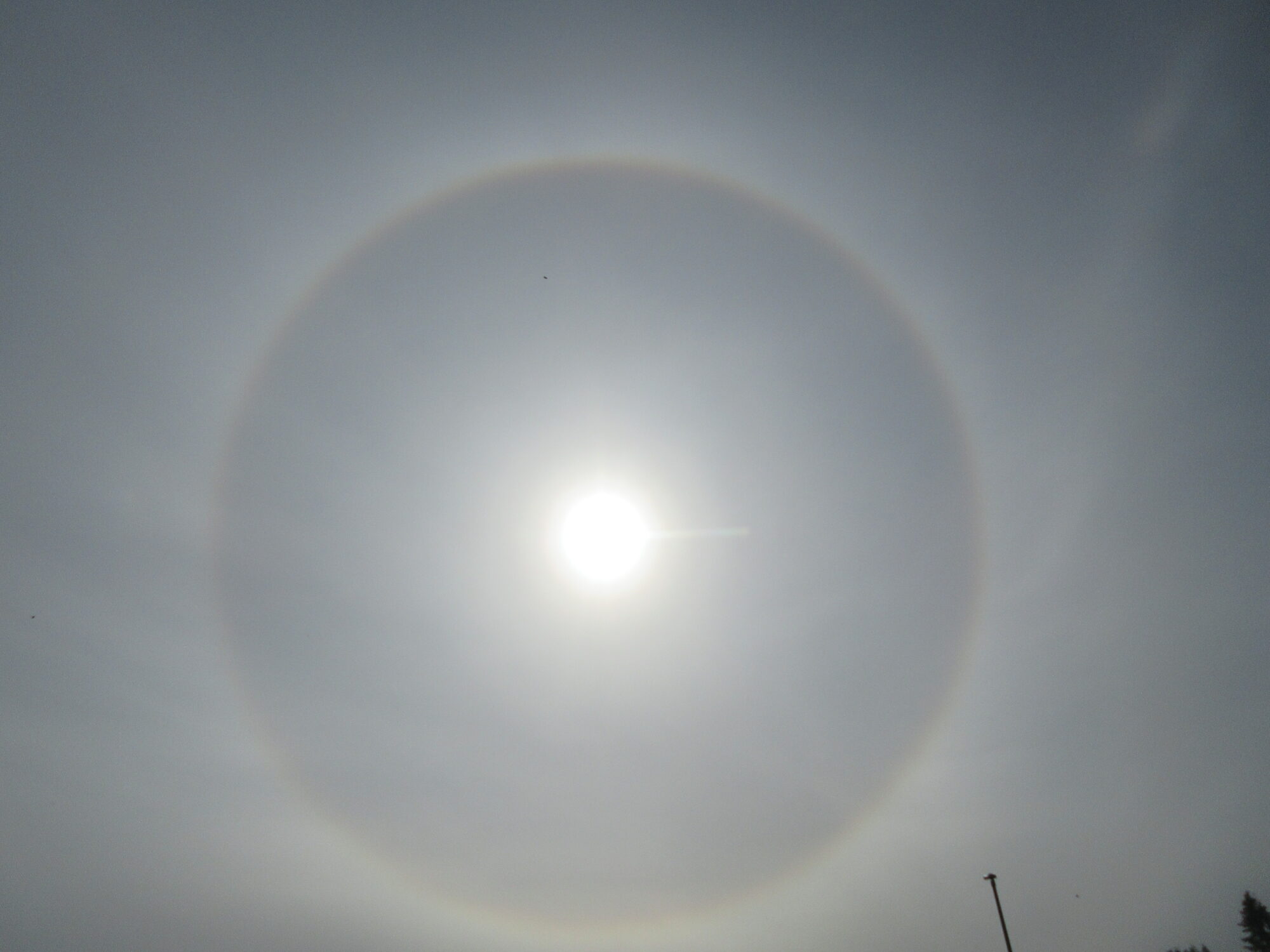 Valokuvaaja: Terttu Rantanen