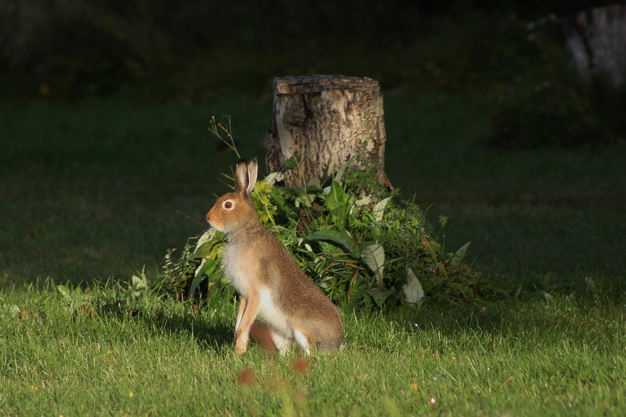 Valokuvaaja: Pirkko Siukonen