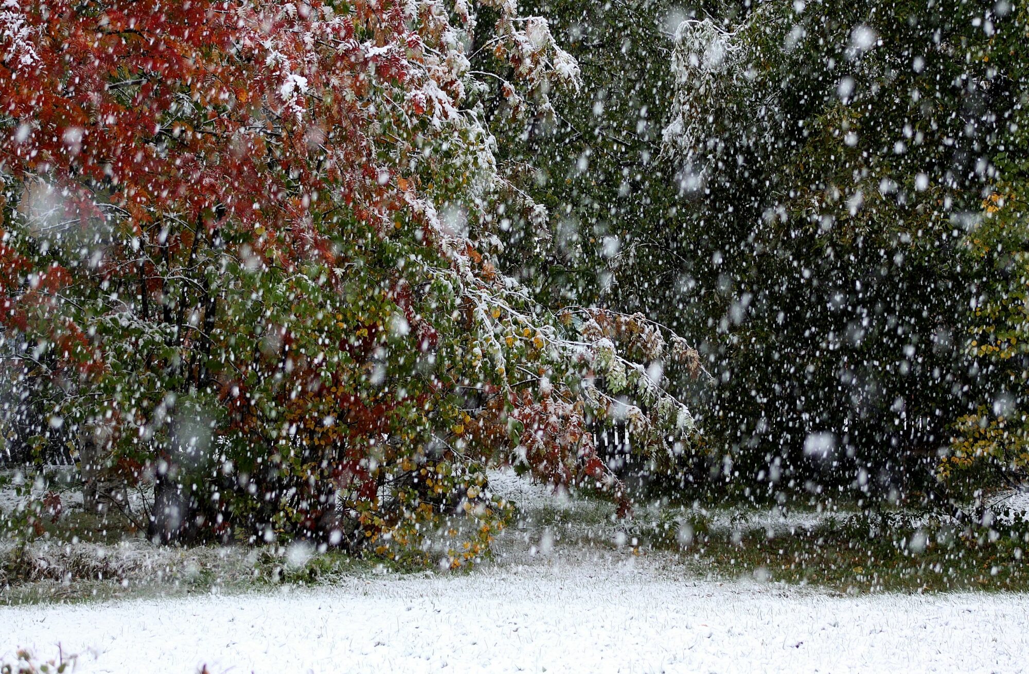 Valokuvaaja: Pirkko Siukonen
