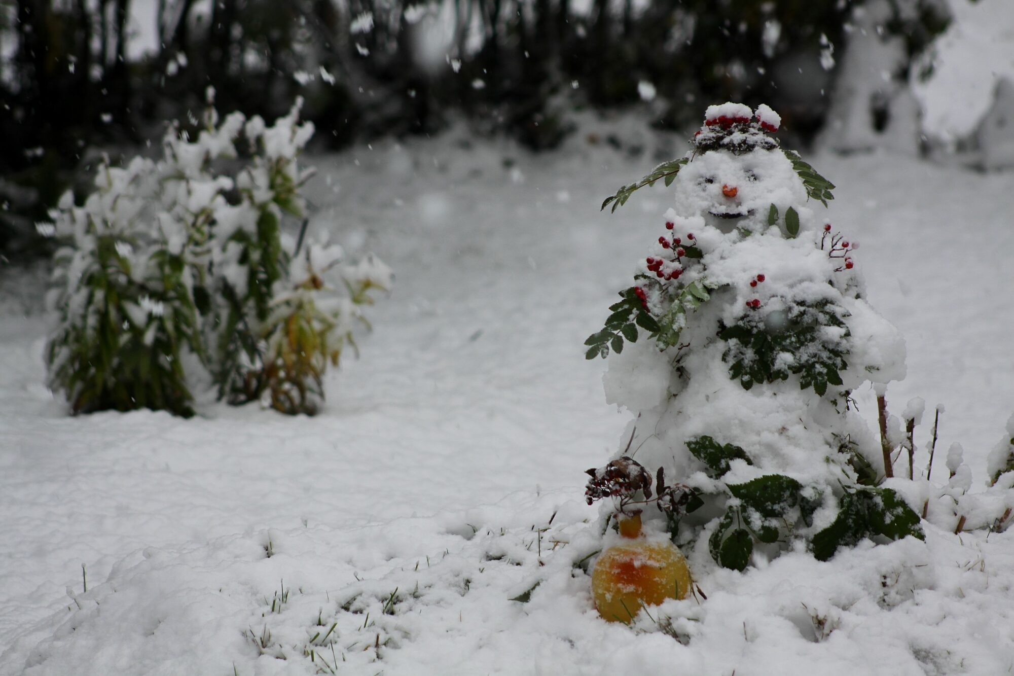 Valokuvaaja: Pirkko Siukonen