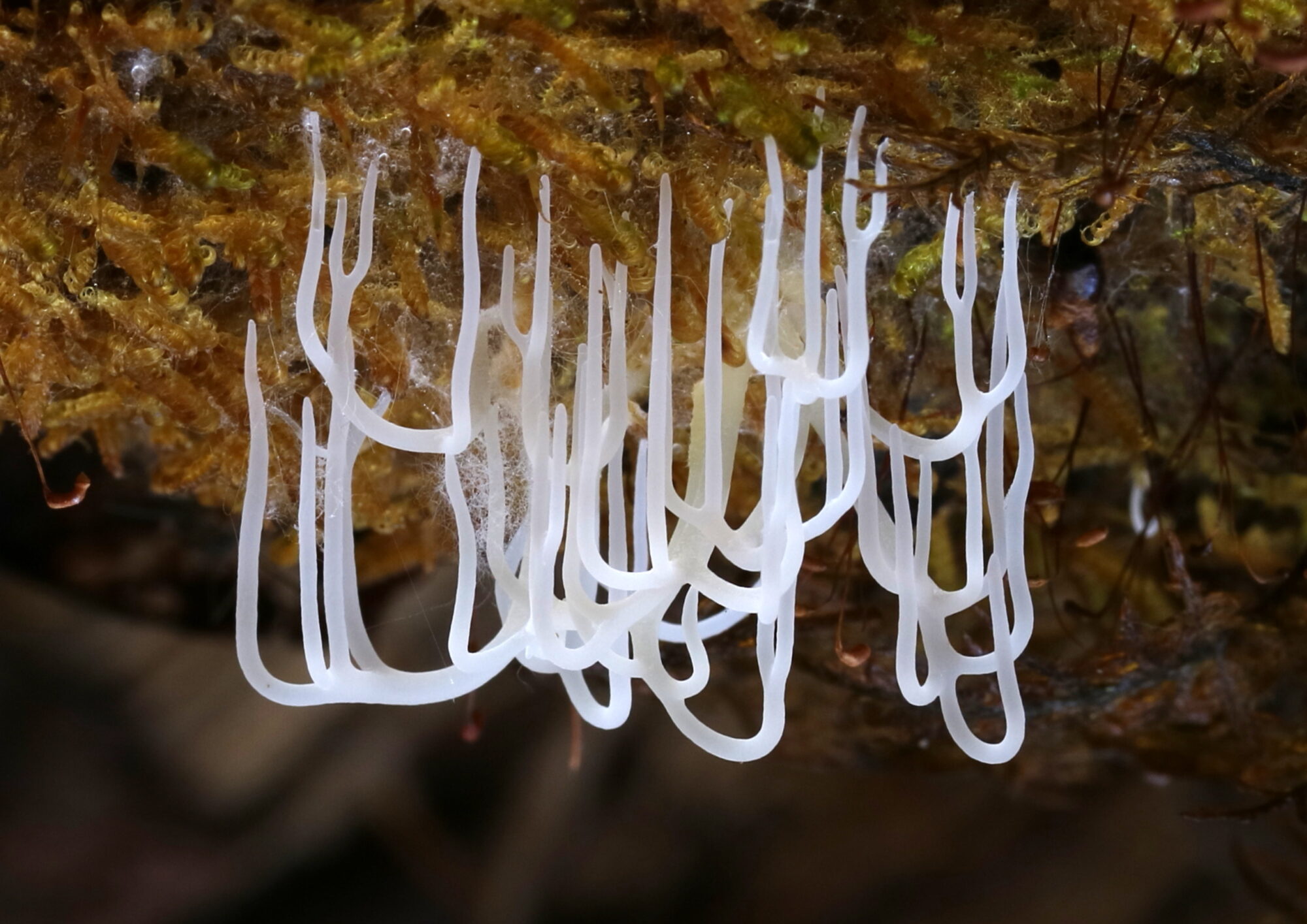 Valokuvaaja: Hannu Rasiranta