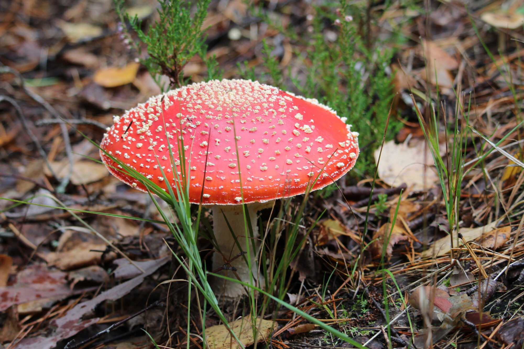 Valokuvaaja: Kirsi-Marja Joenpolvi