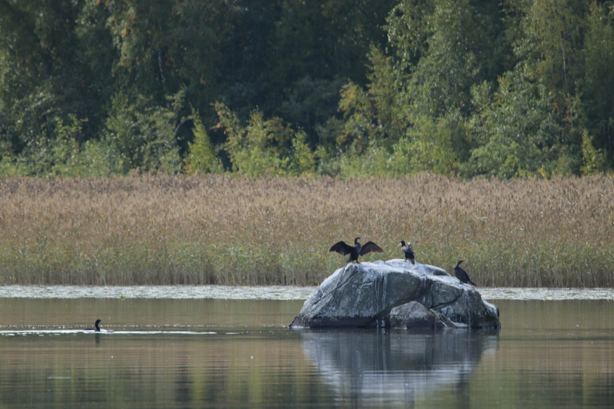 Valokuvaaja: Irja Lehtinen