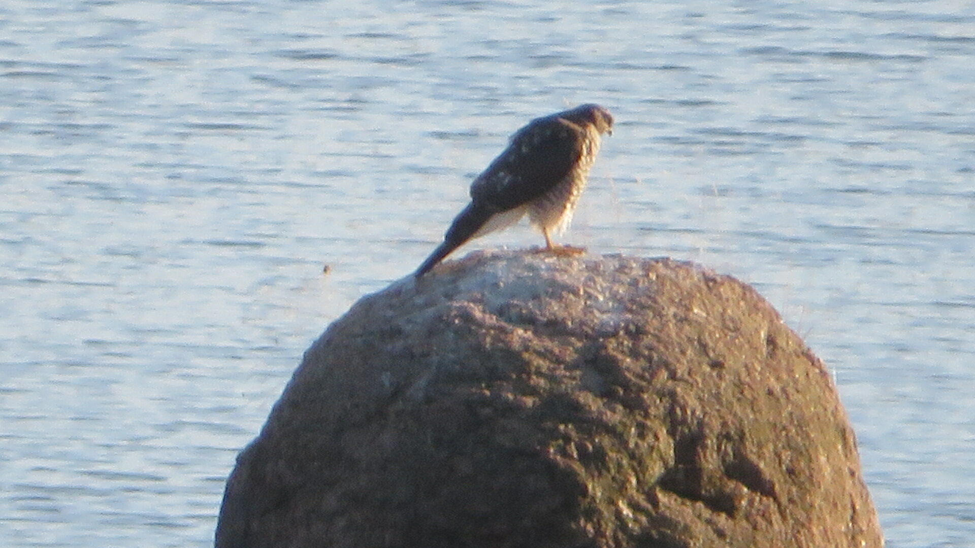 Valokuvaaja: Risto Kangassalo