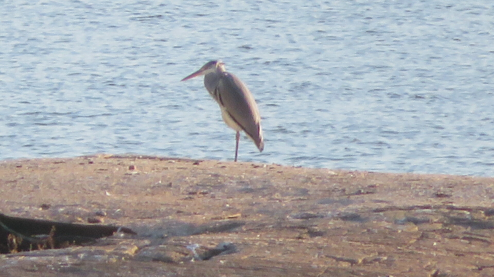 Valokuvaaja: Risto Kangassalo