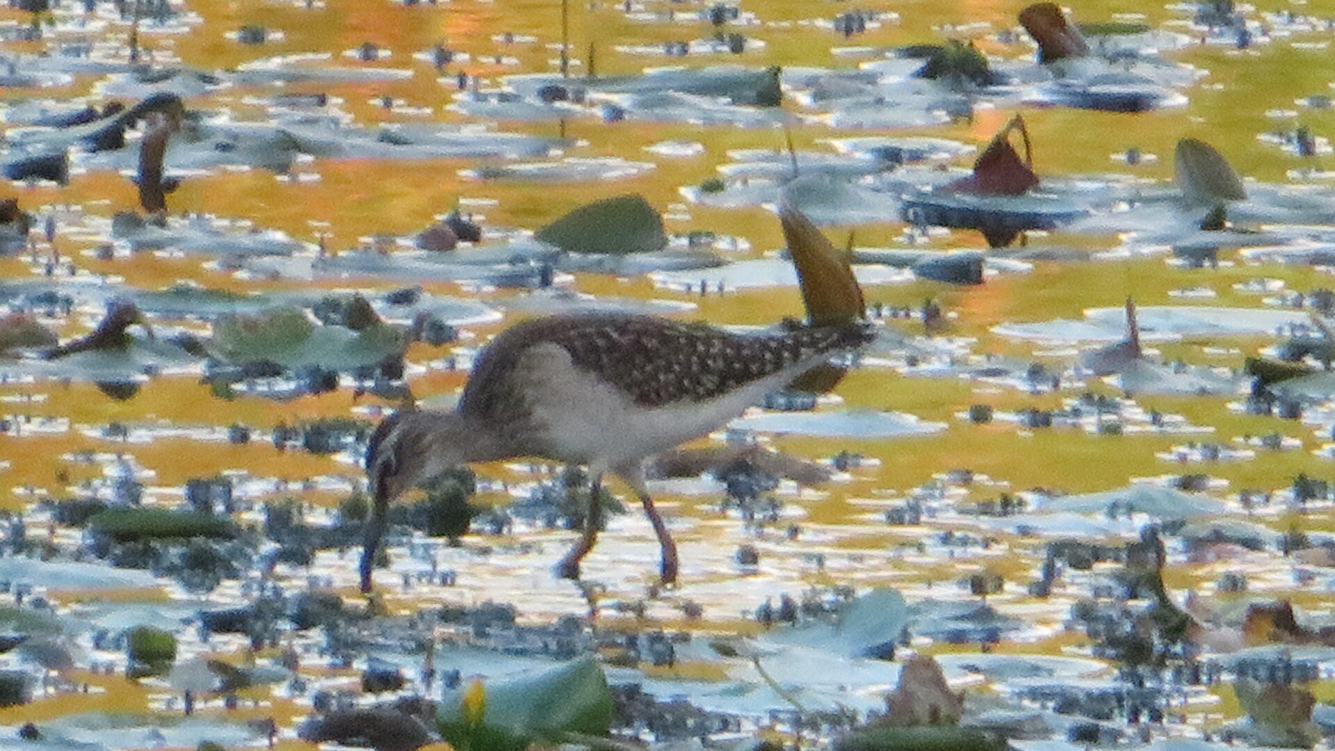Valokuvaaja: Risto Kangassalo Valokuvaaja: Risto Kangassalo